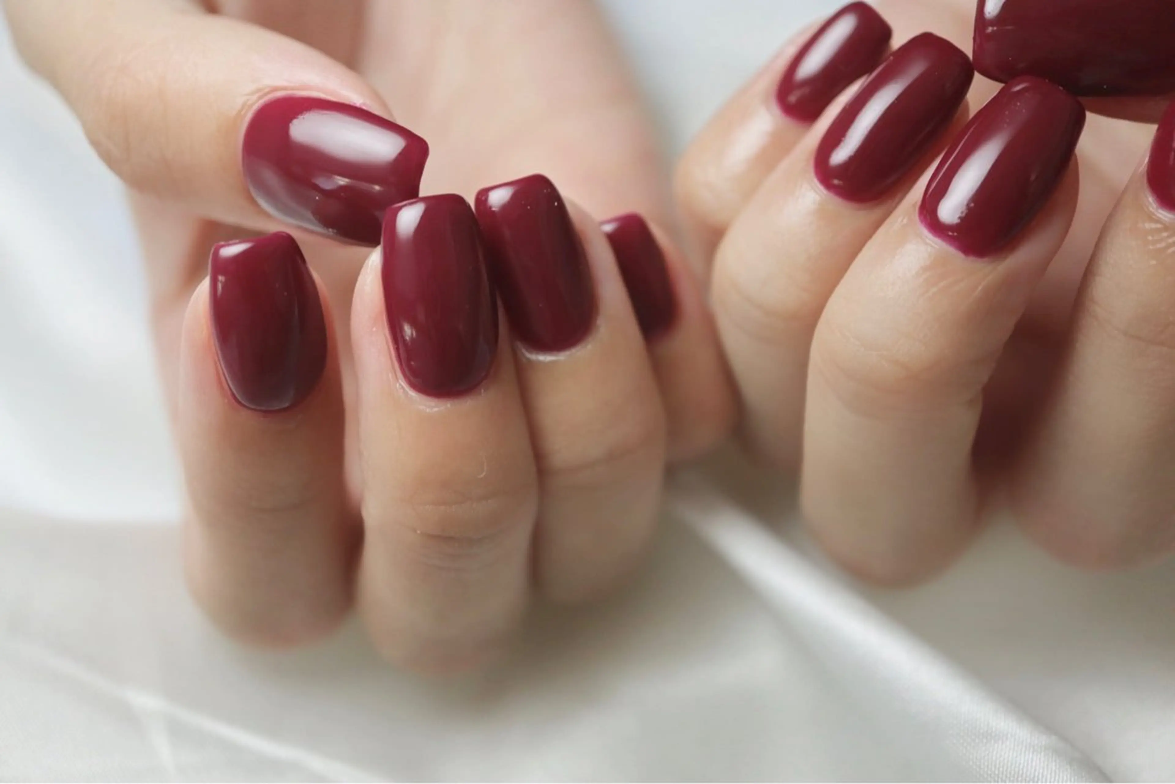 ワンカラーの写真