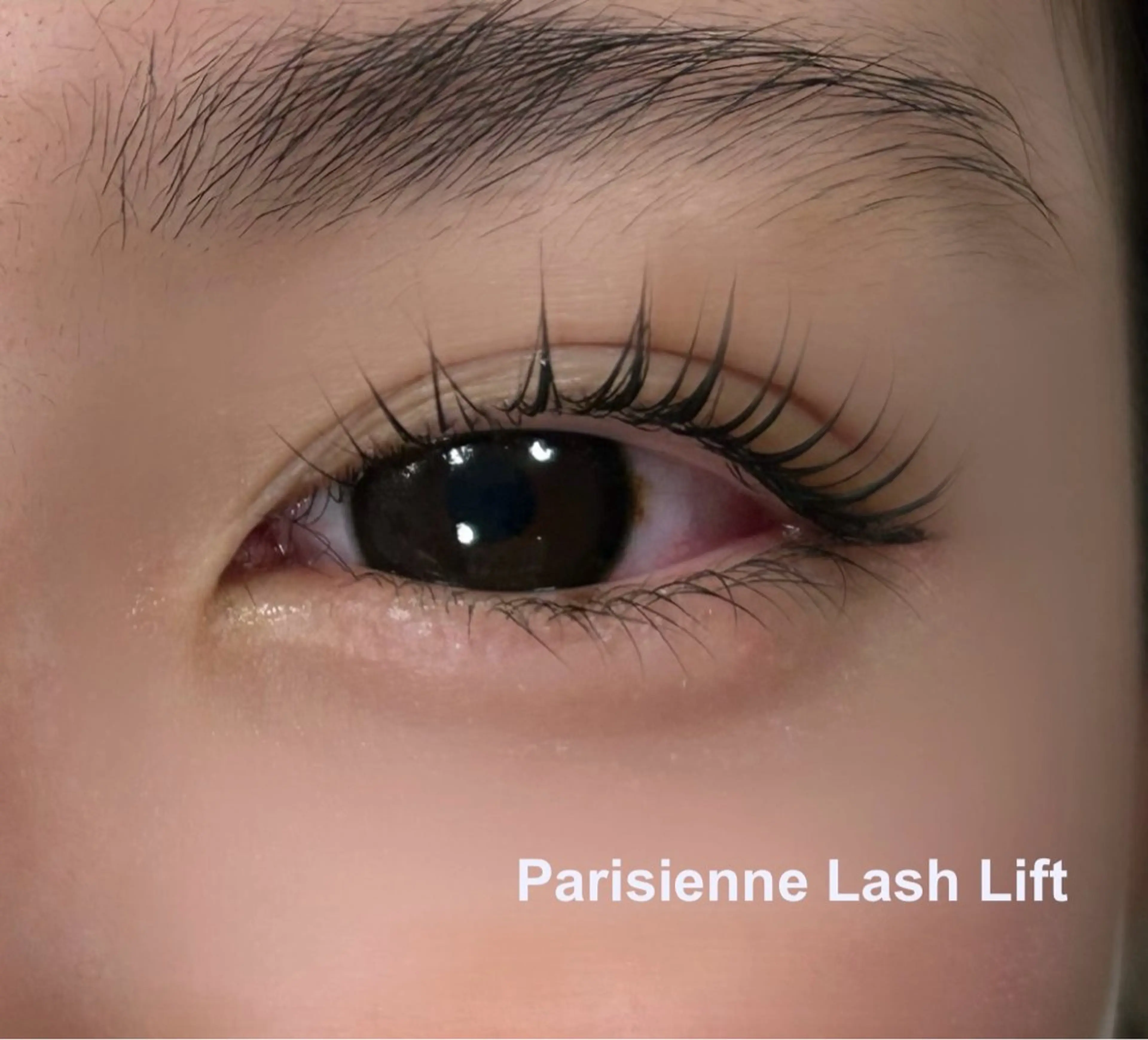 パリジェンヌラッシュリフト⭐️の写真