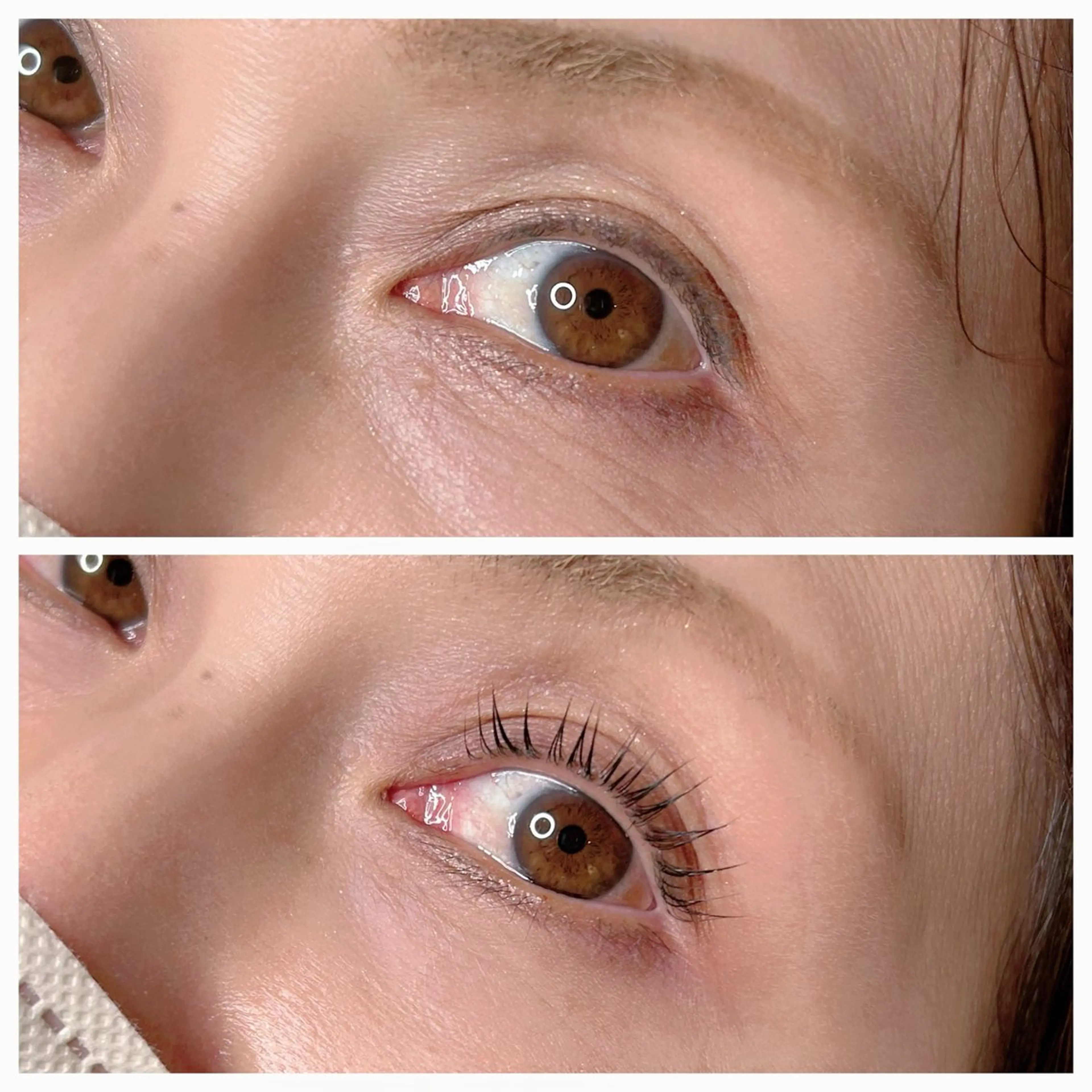 マツエク・マツパ By color EYE&NAIL所属・By color EYE【BEE】のマツエク・マツパデザイン