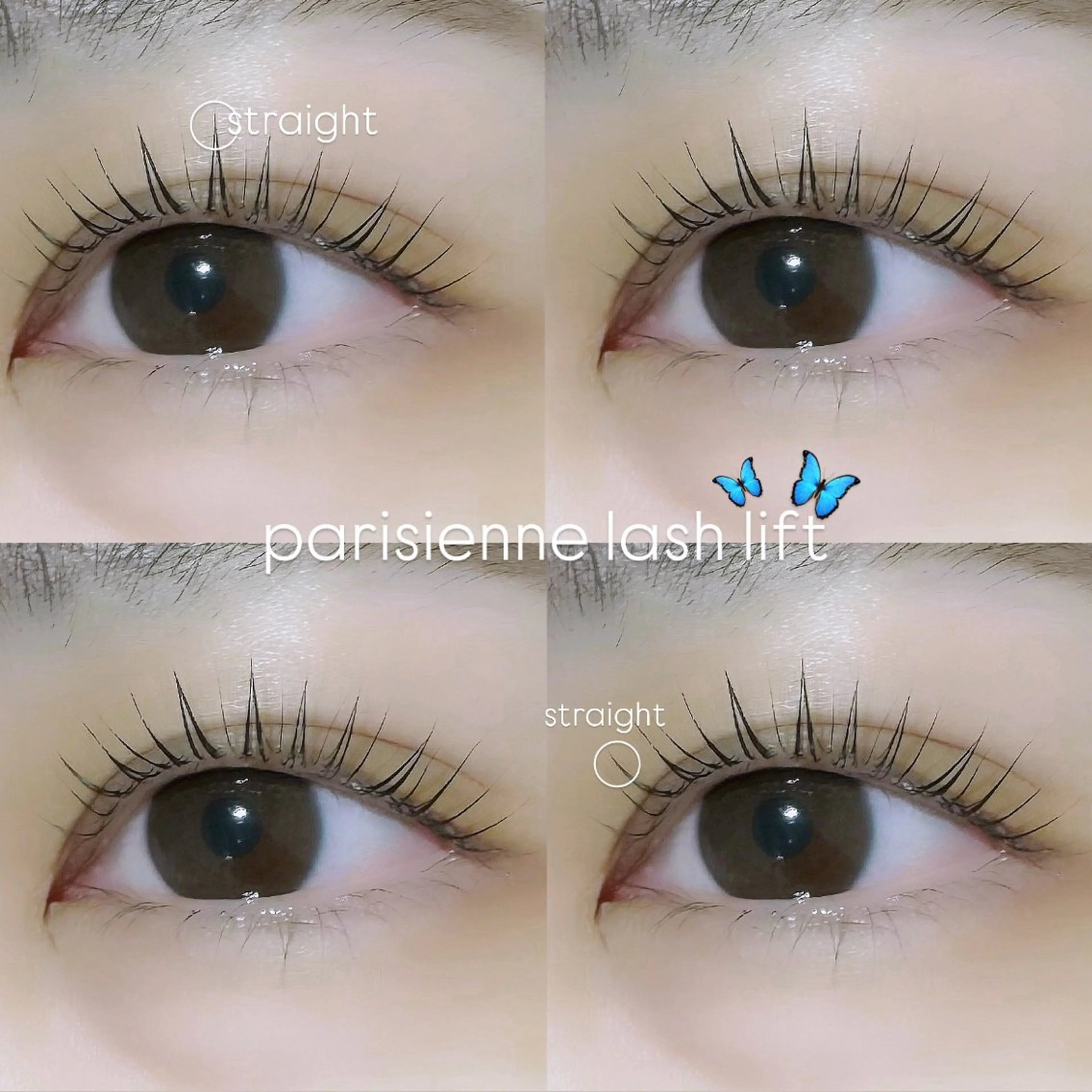 マツエク・マツパ YEON Mao🍒のマツエク・マツパデザイン