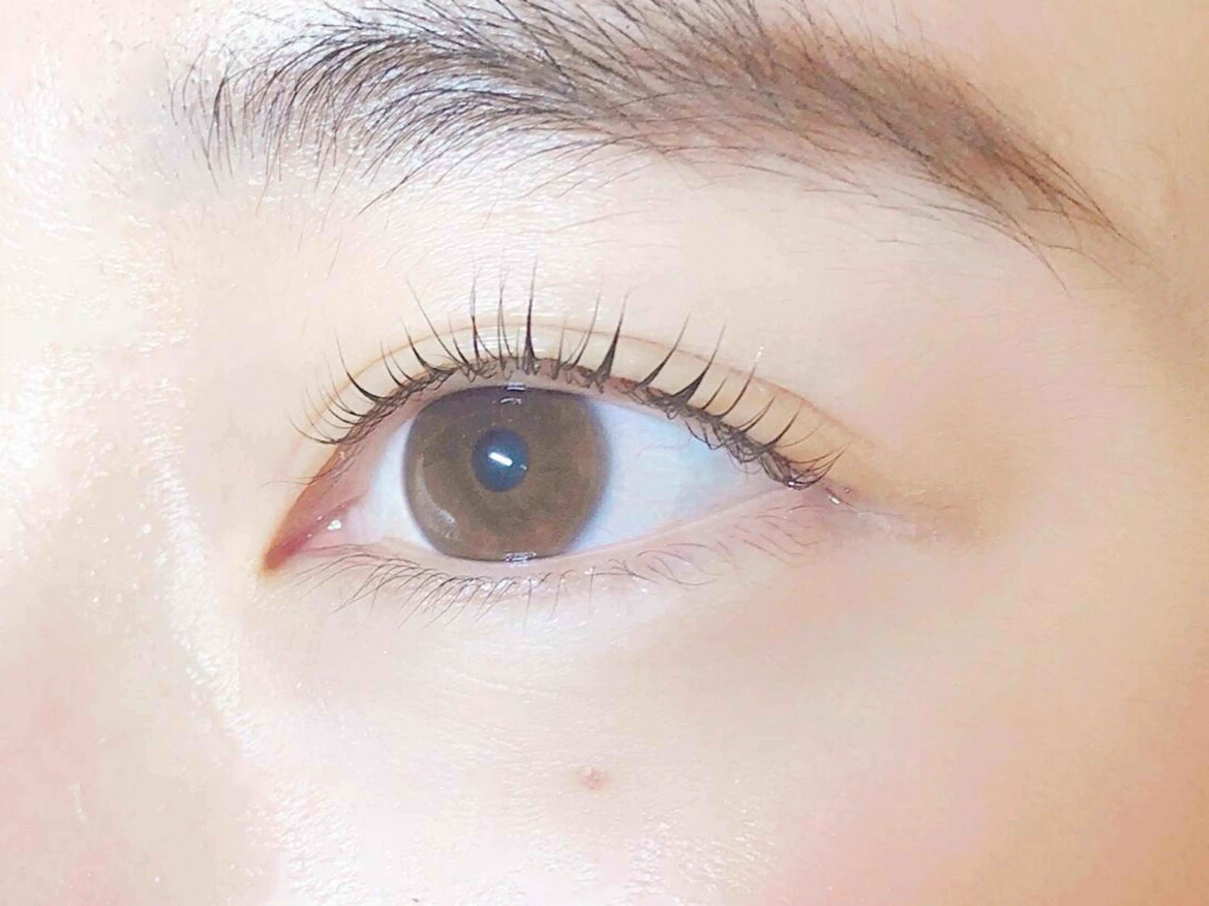 マツエク・マツパ デイジーラッシュ 大阪駅前第3ビルのマツエク・マツパデザイン