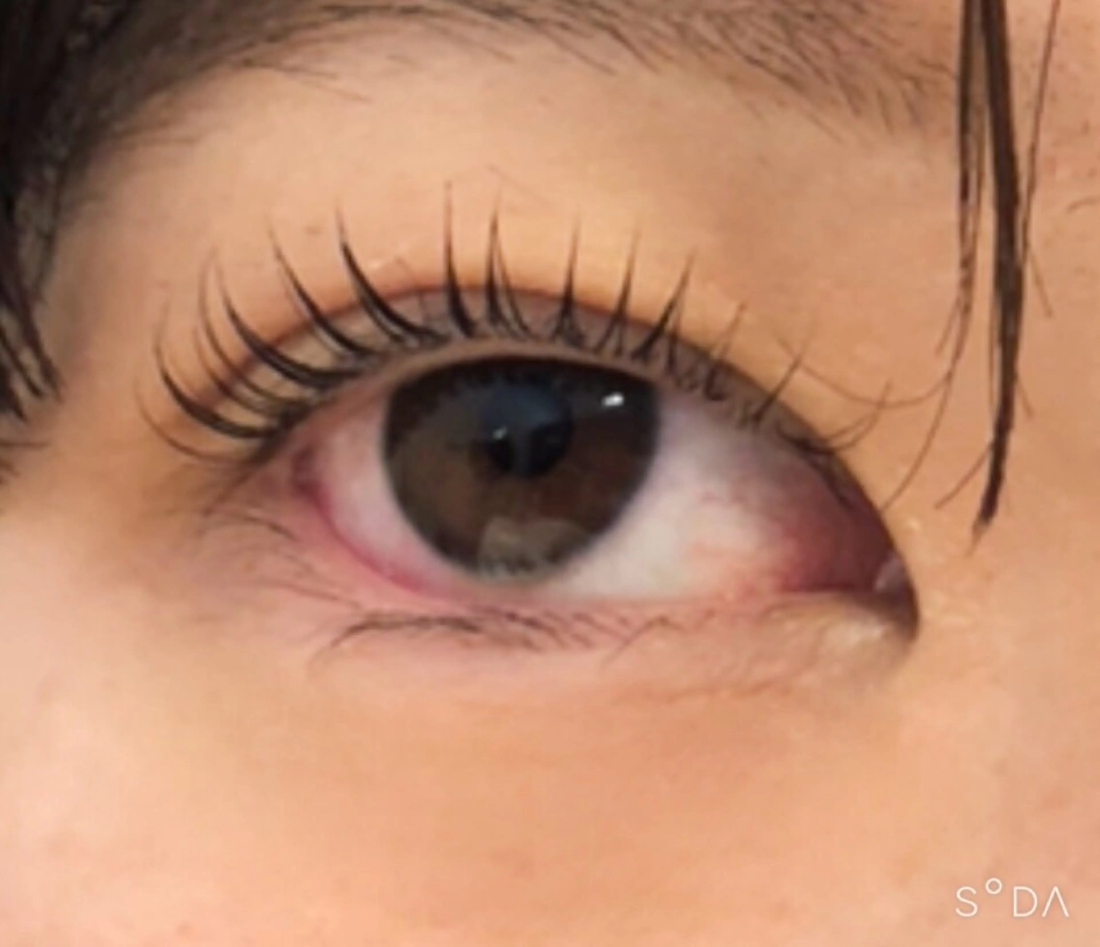 マツエク・マツパ マツパ EYELASHSALON  LUNA LUNA所属・LUNA LUNA byOean’S田中のマツエク・マツパデザイン