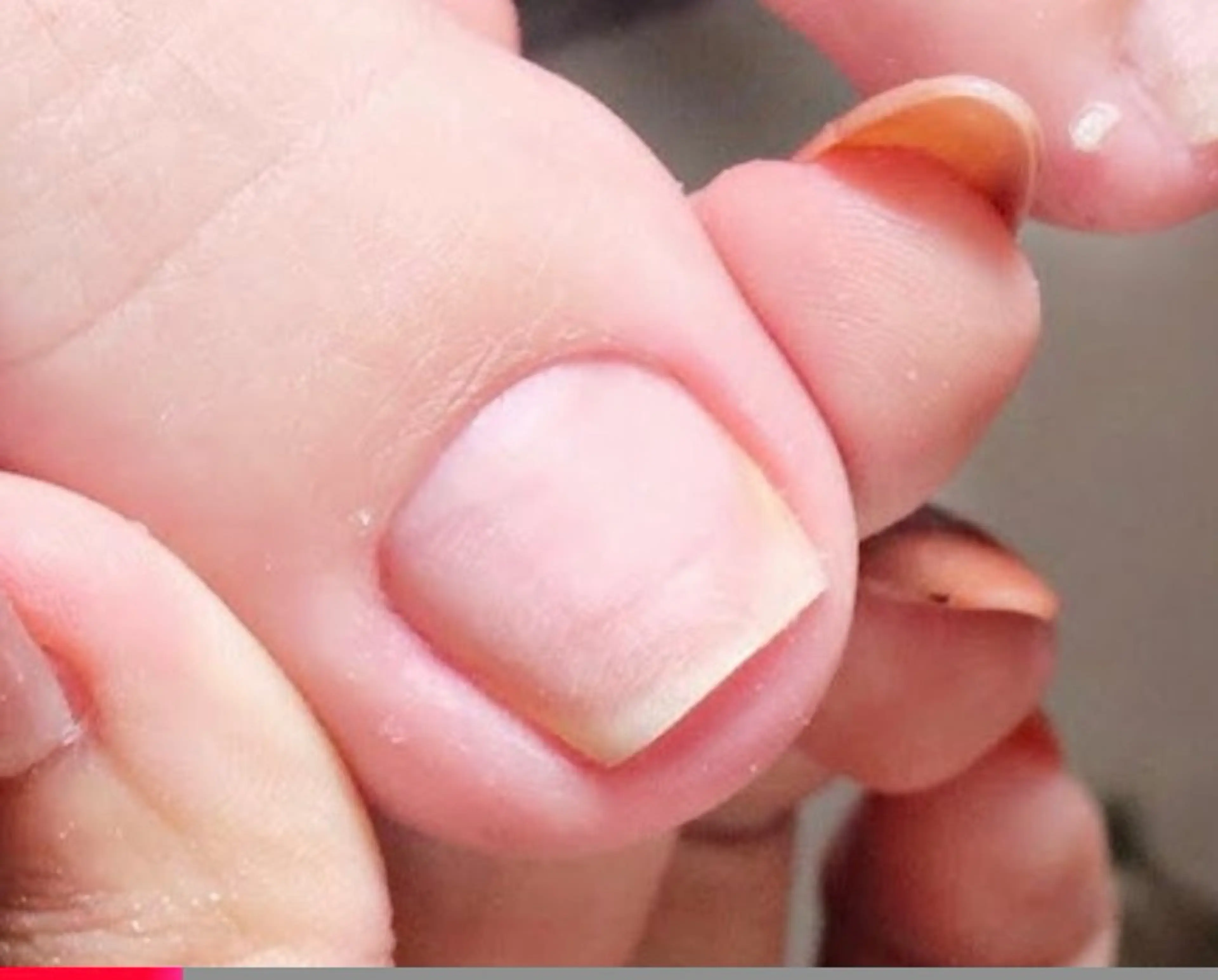 Foot( オフのみ)の写真