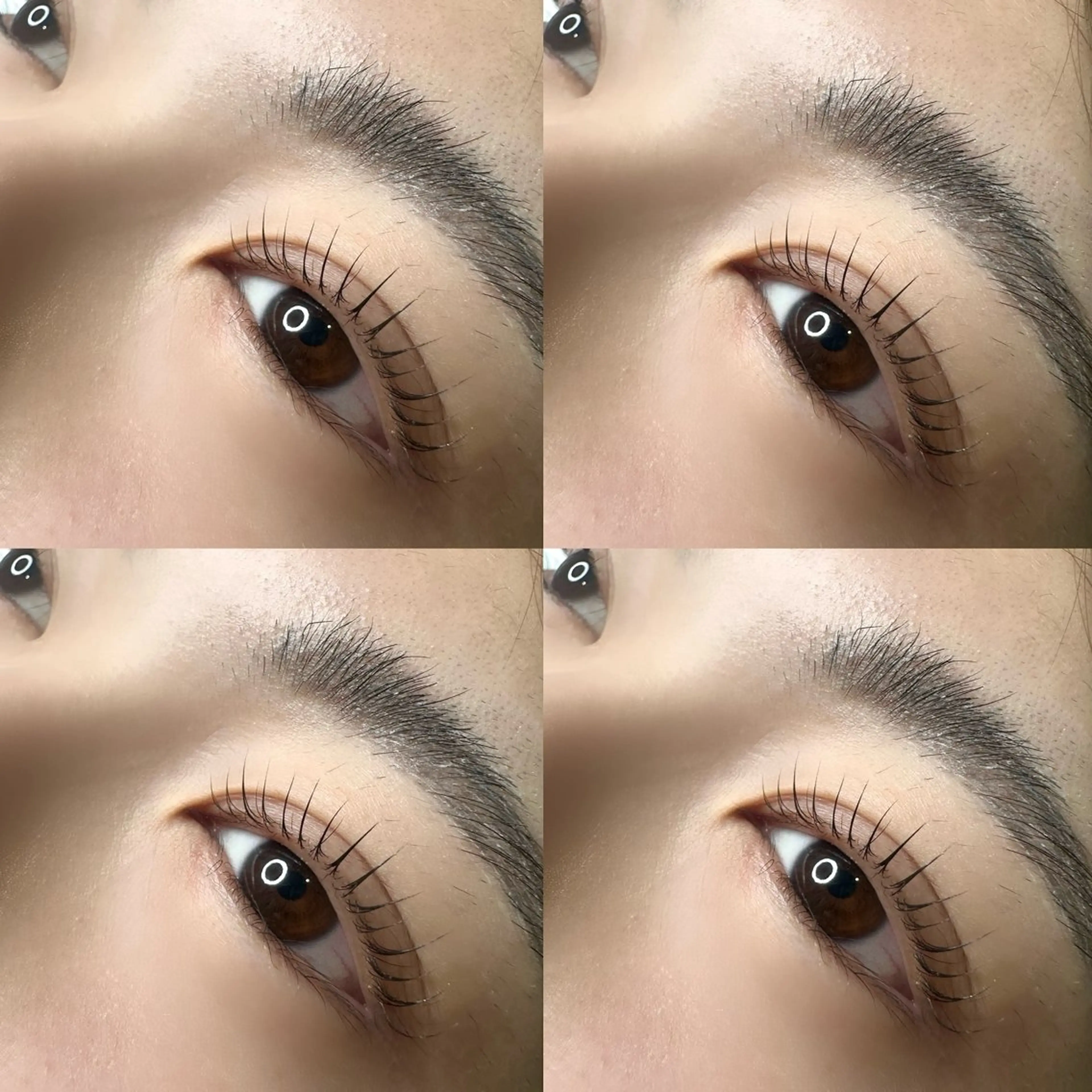 マツエク・マツパ 今井 未来音の眉毛・アイブロウイメージ