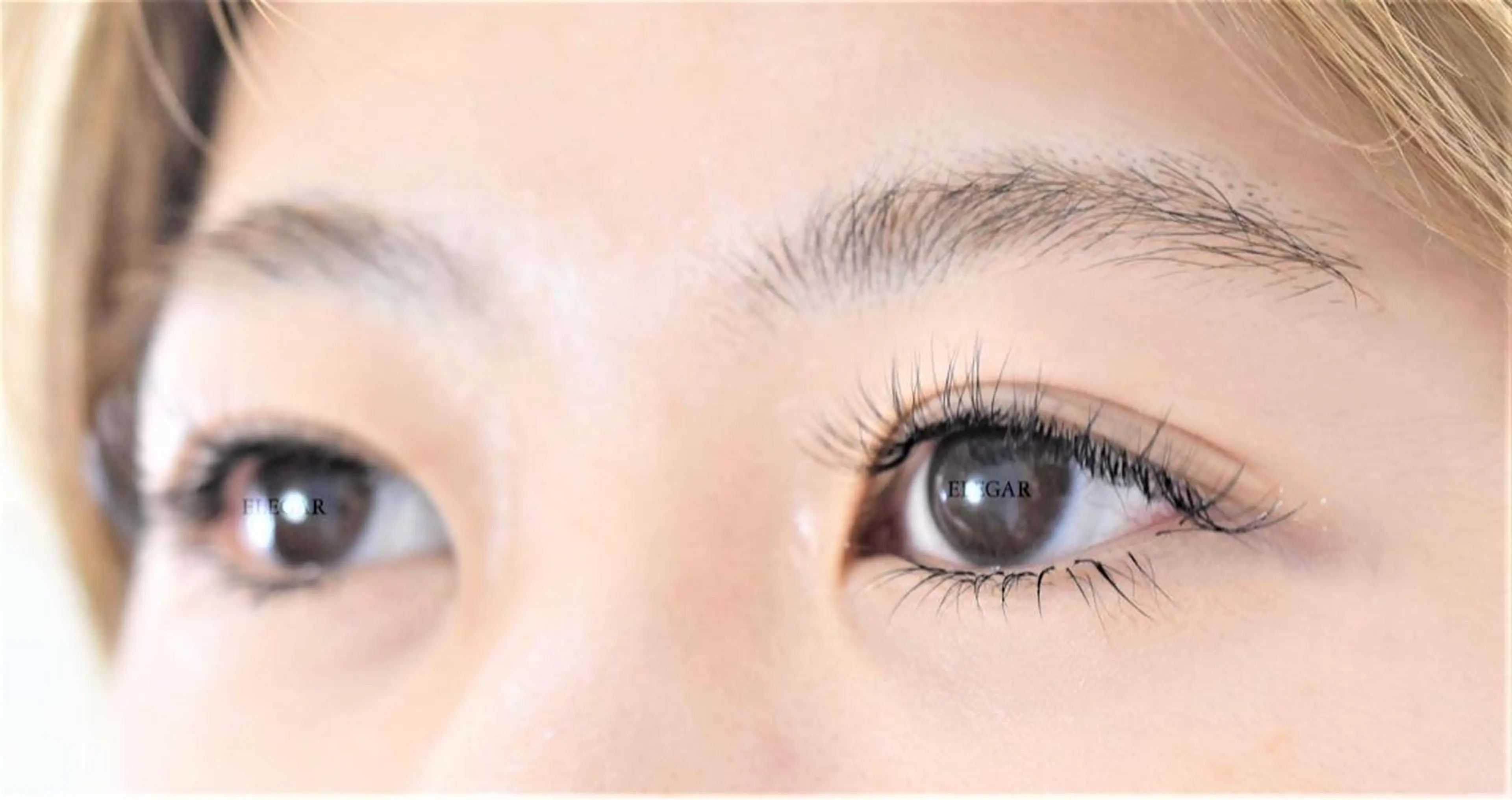 マツエク・マツパ ELEGAR 武蔵小杉のマツエク・マツパデザイン