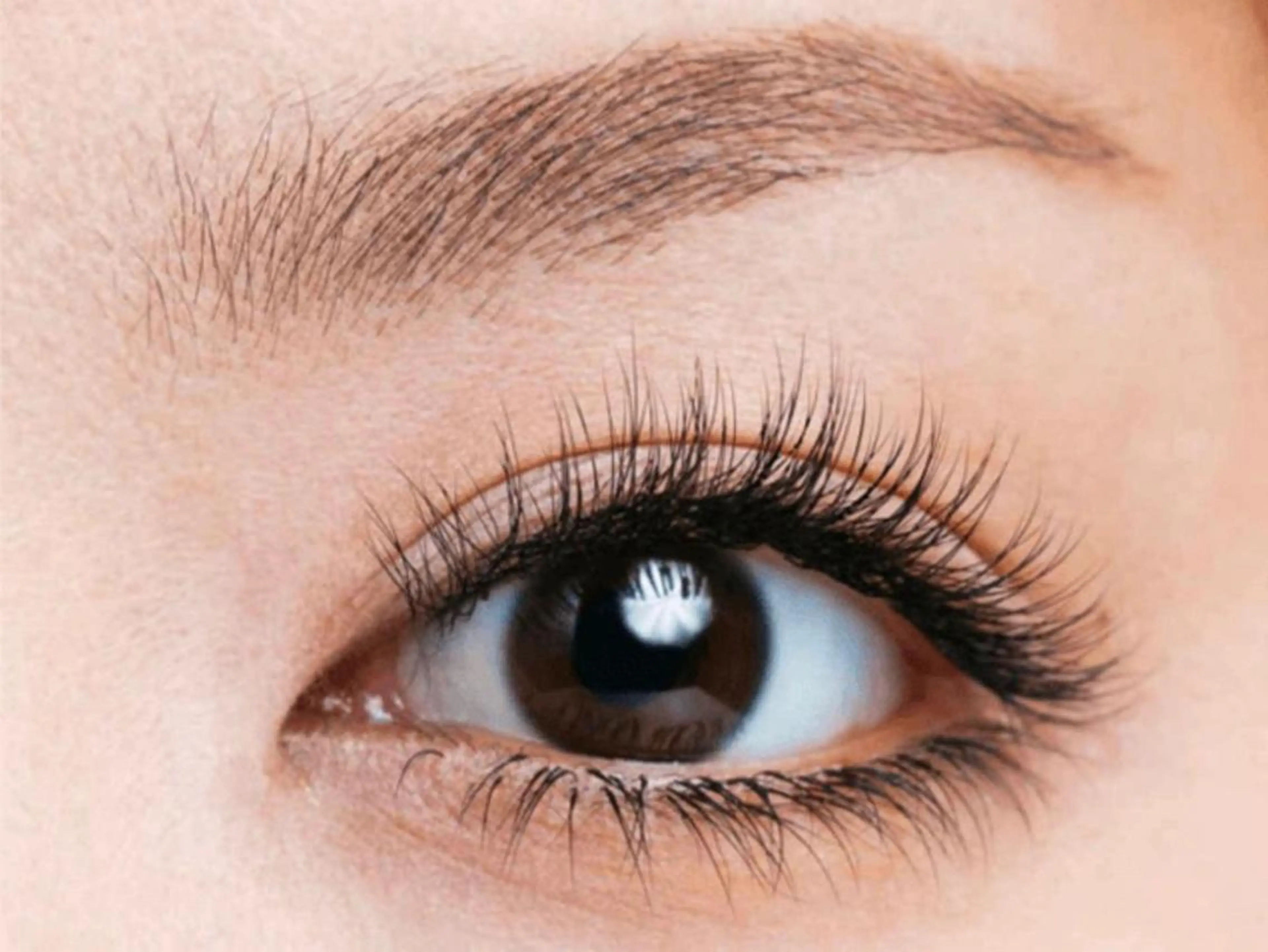 オフ込み♪3Dボリュームラッシュ上、下付け放題12800の写真