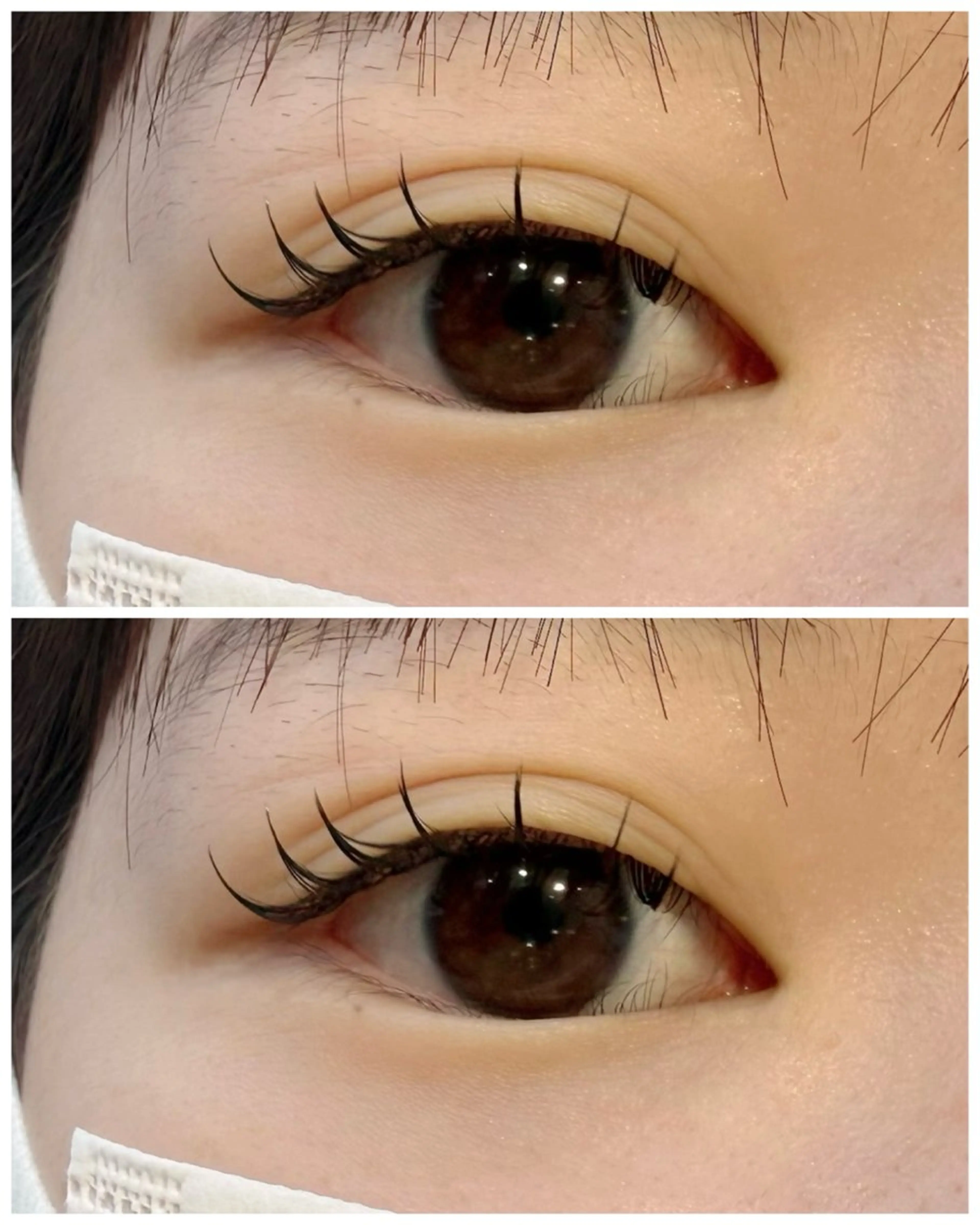 セーブル120本 𖠶ˬ𖠶オフあり🍎お支払いPayPay・クレジットカードのみ🍎注意事項をご確認ください🍎の写真