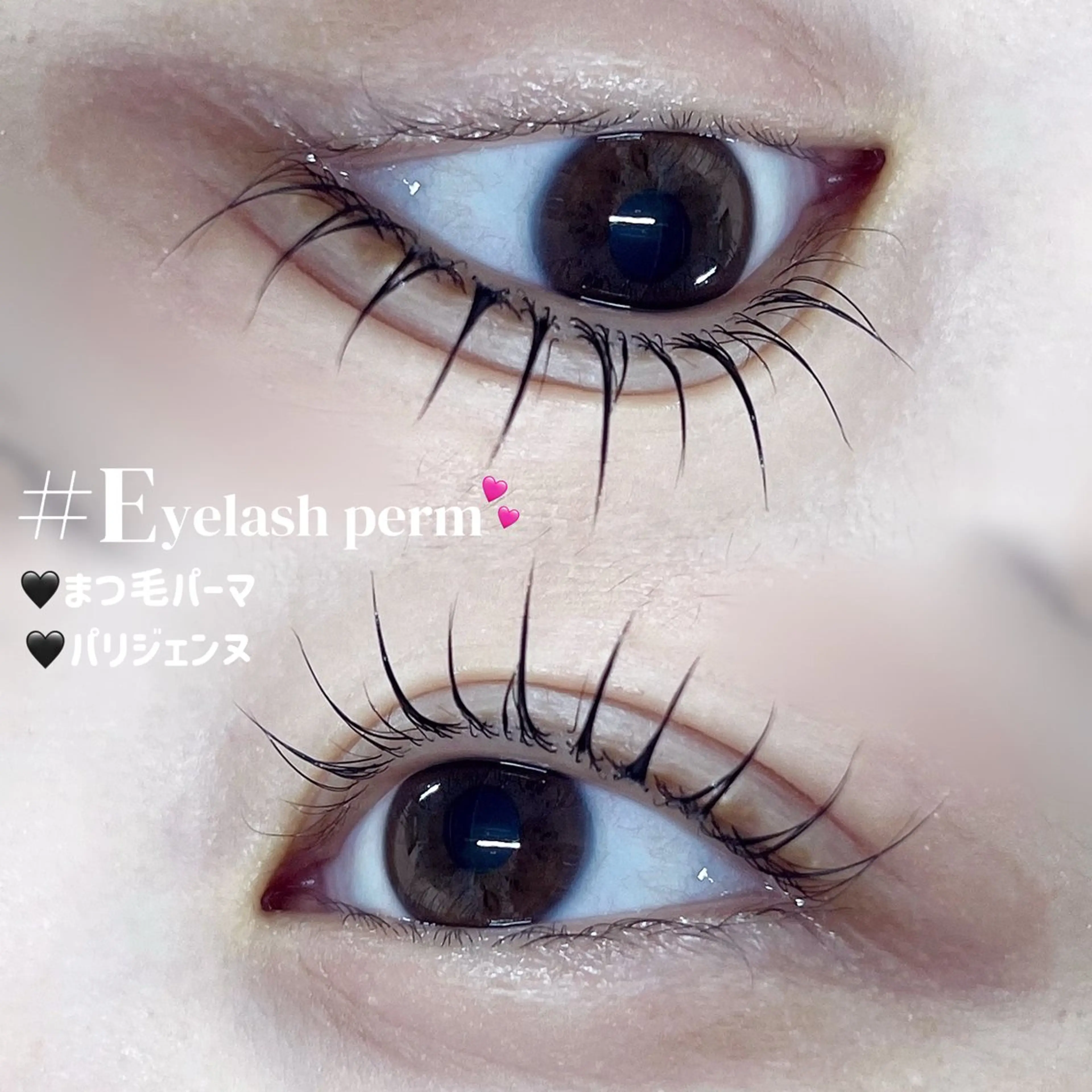 ⭐️マツパ⭐️10:00~ / 11:30~ / 14:00~ お目元パッチリ上がります！の写真