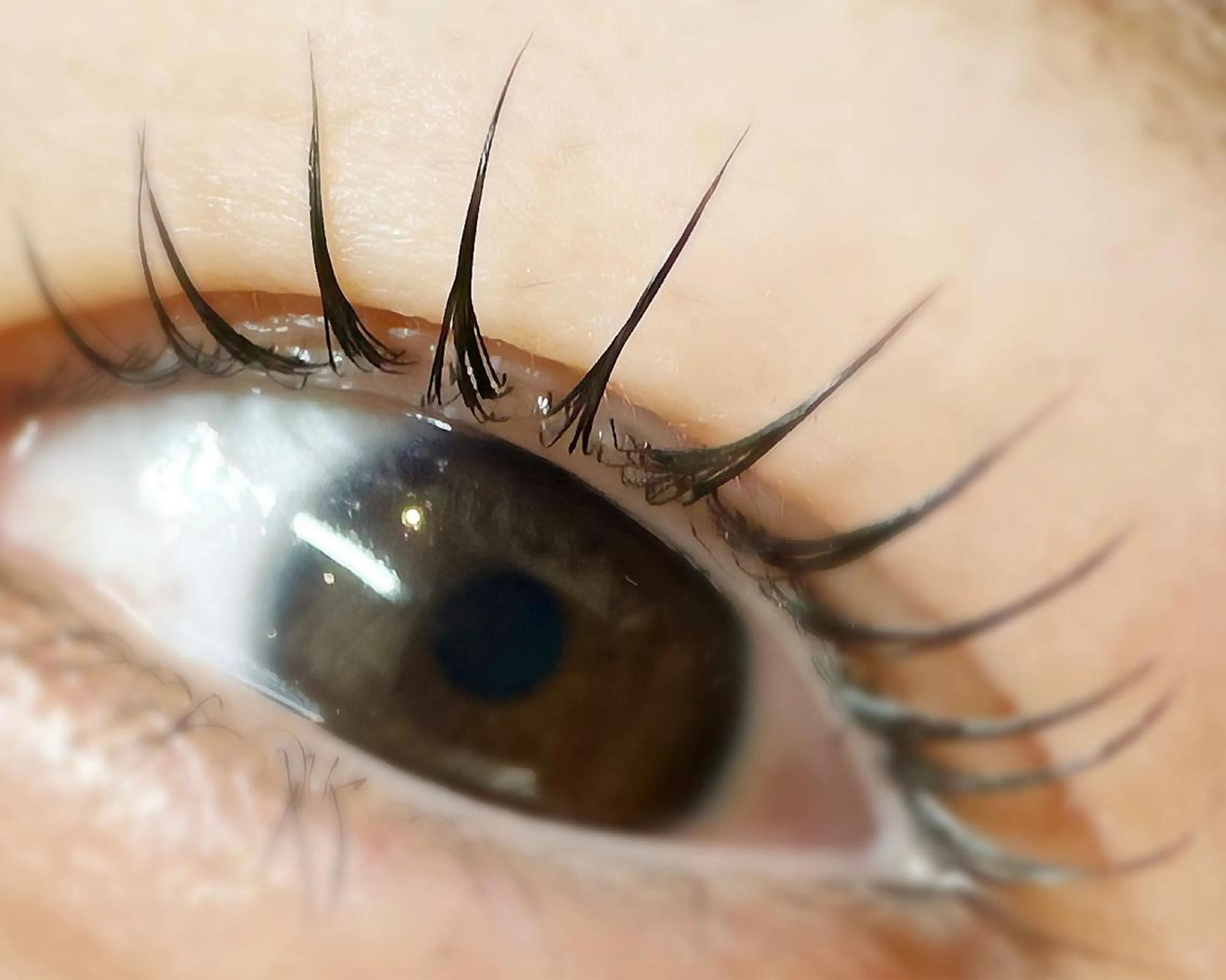 マツエク・マツパ komatsu eyelash恵比寿のマツエク・マツパデザイン