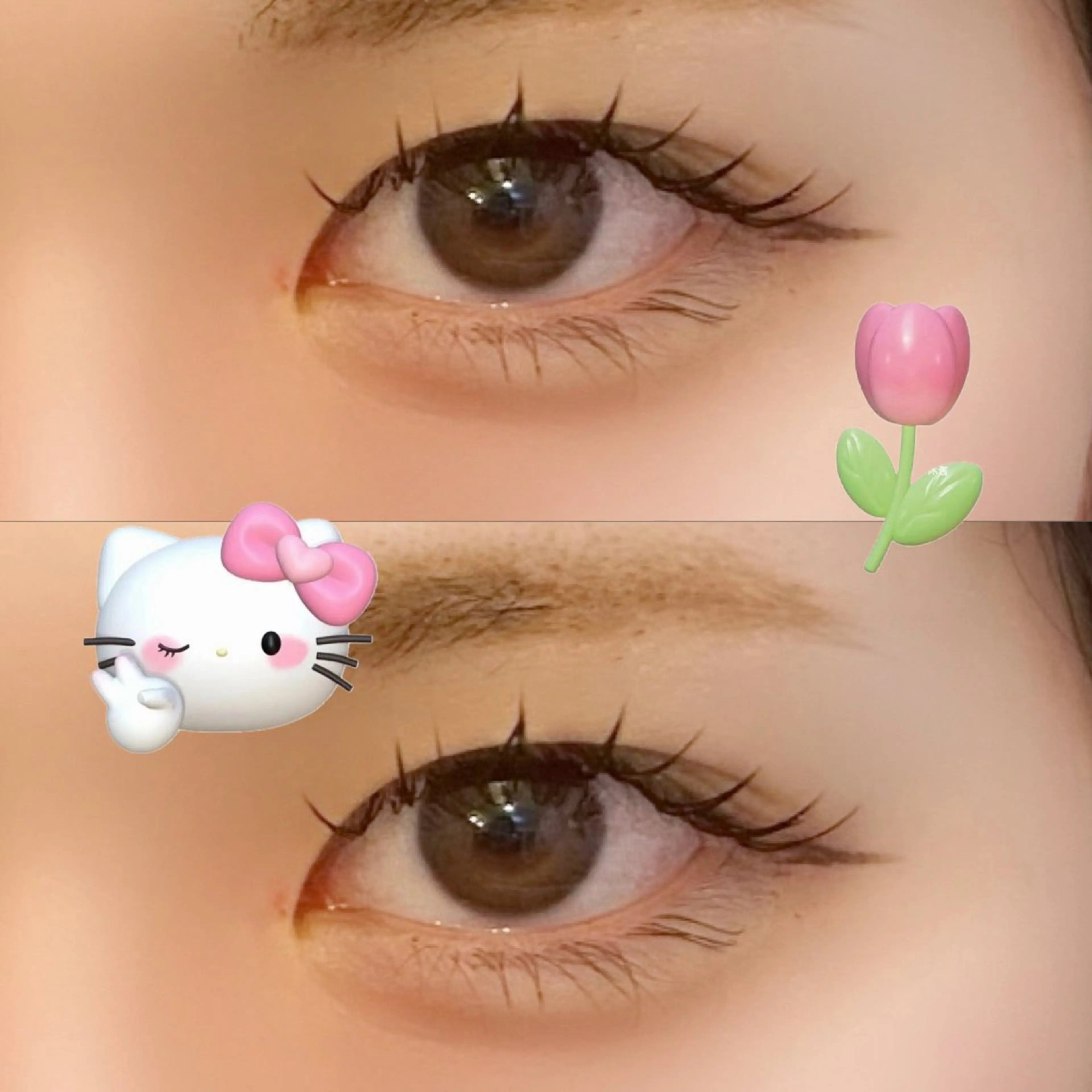 フラットラッシュ80本の写真