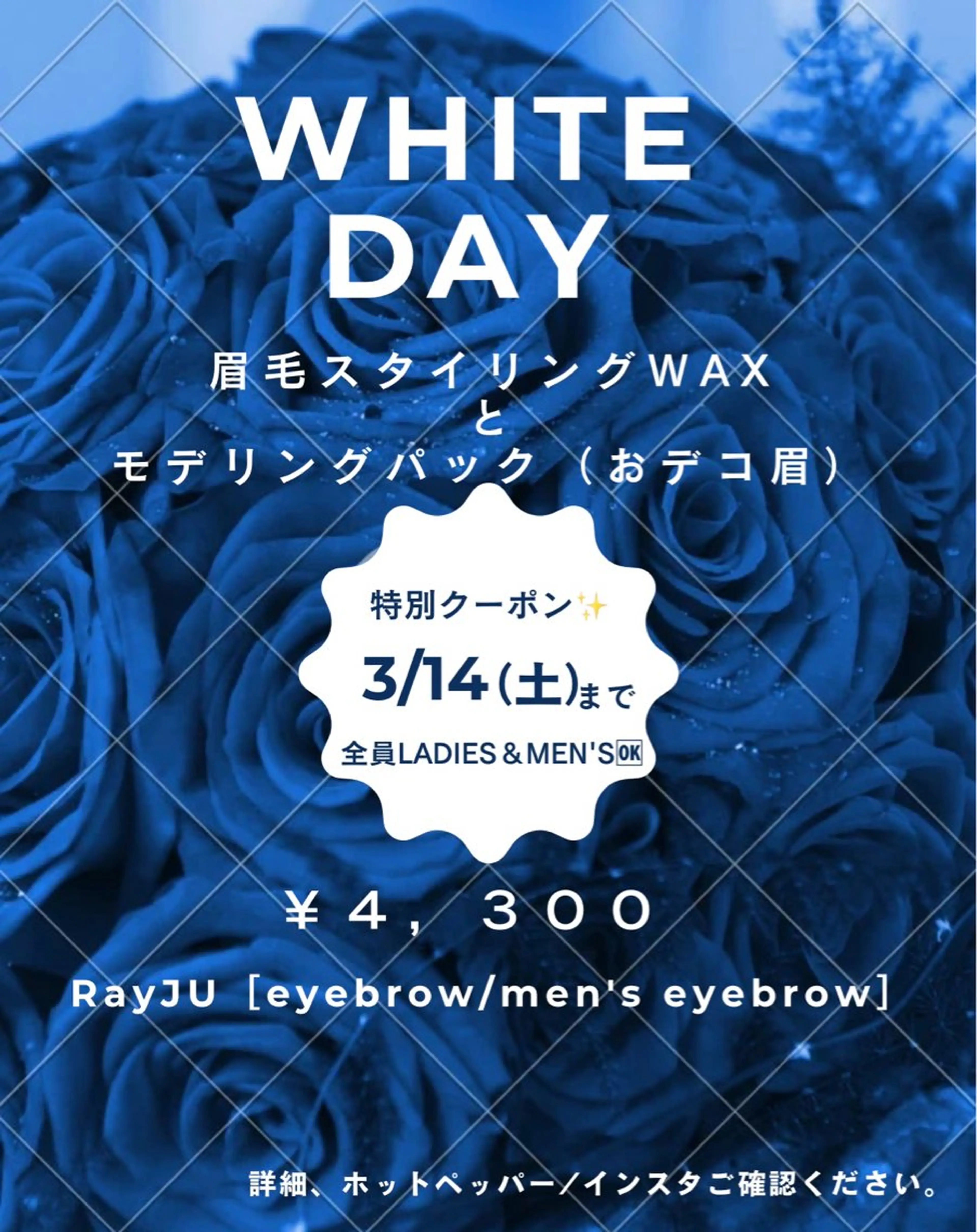 【ホワイトデー限定♡】眉毛スタイリングWAXとおデコ眉モデリングパック付の写真