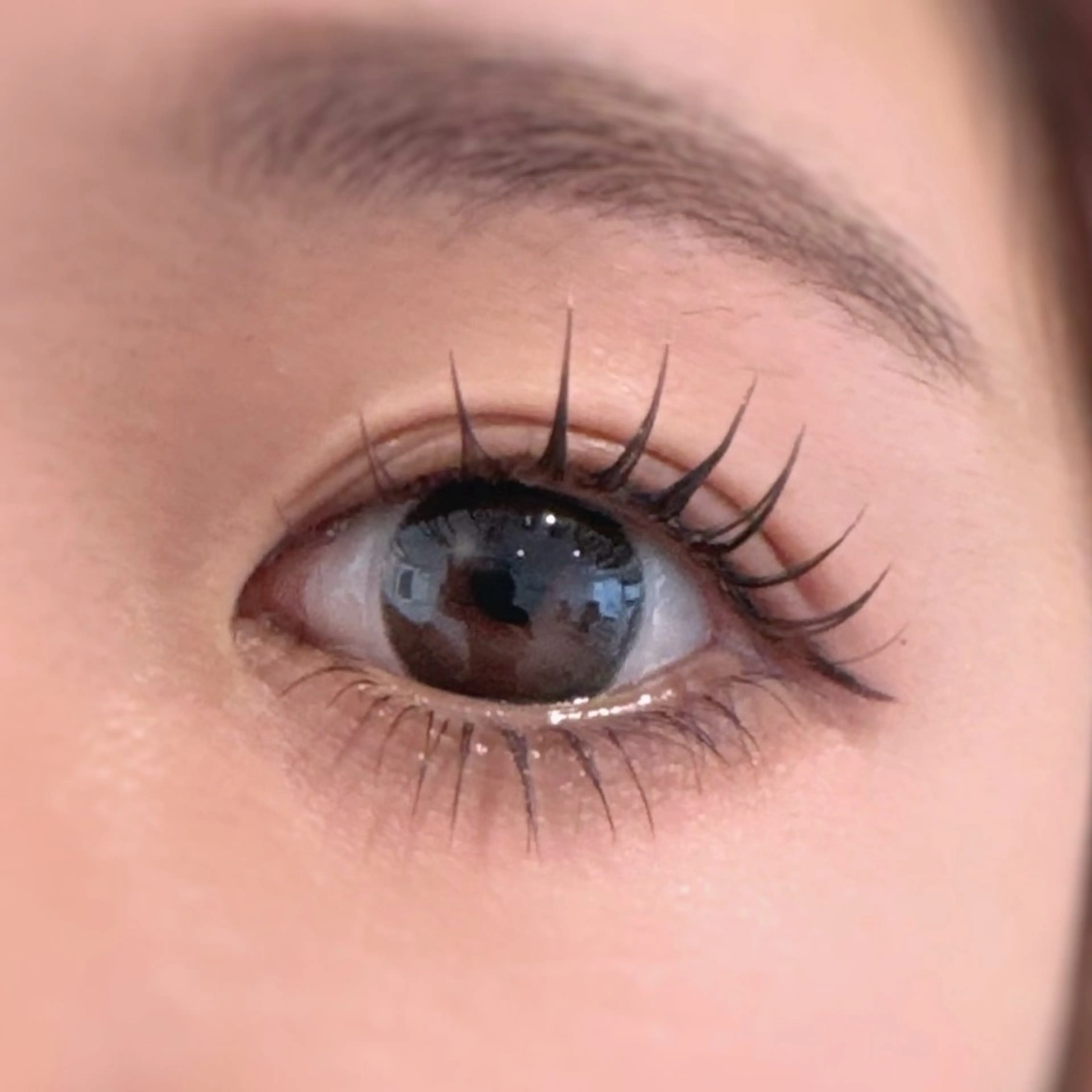 🩶フラットラッシュ120本+下エクステ30本🩶の写真