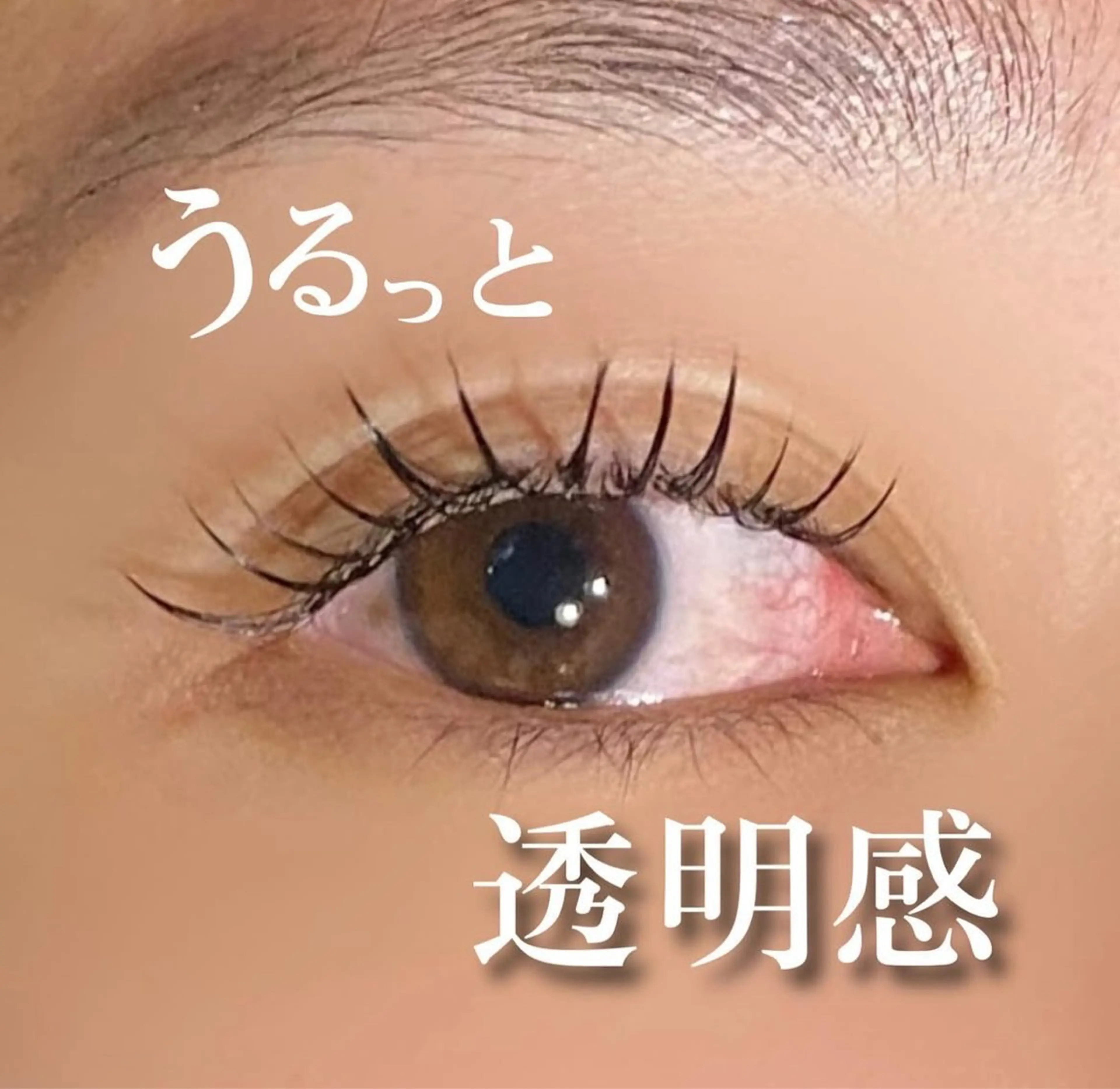 マツエク・マツパ アトリエ ハルミナの眉毛・アイブロウイメージ