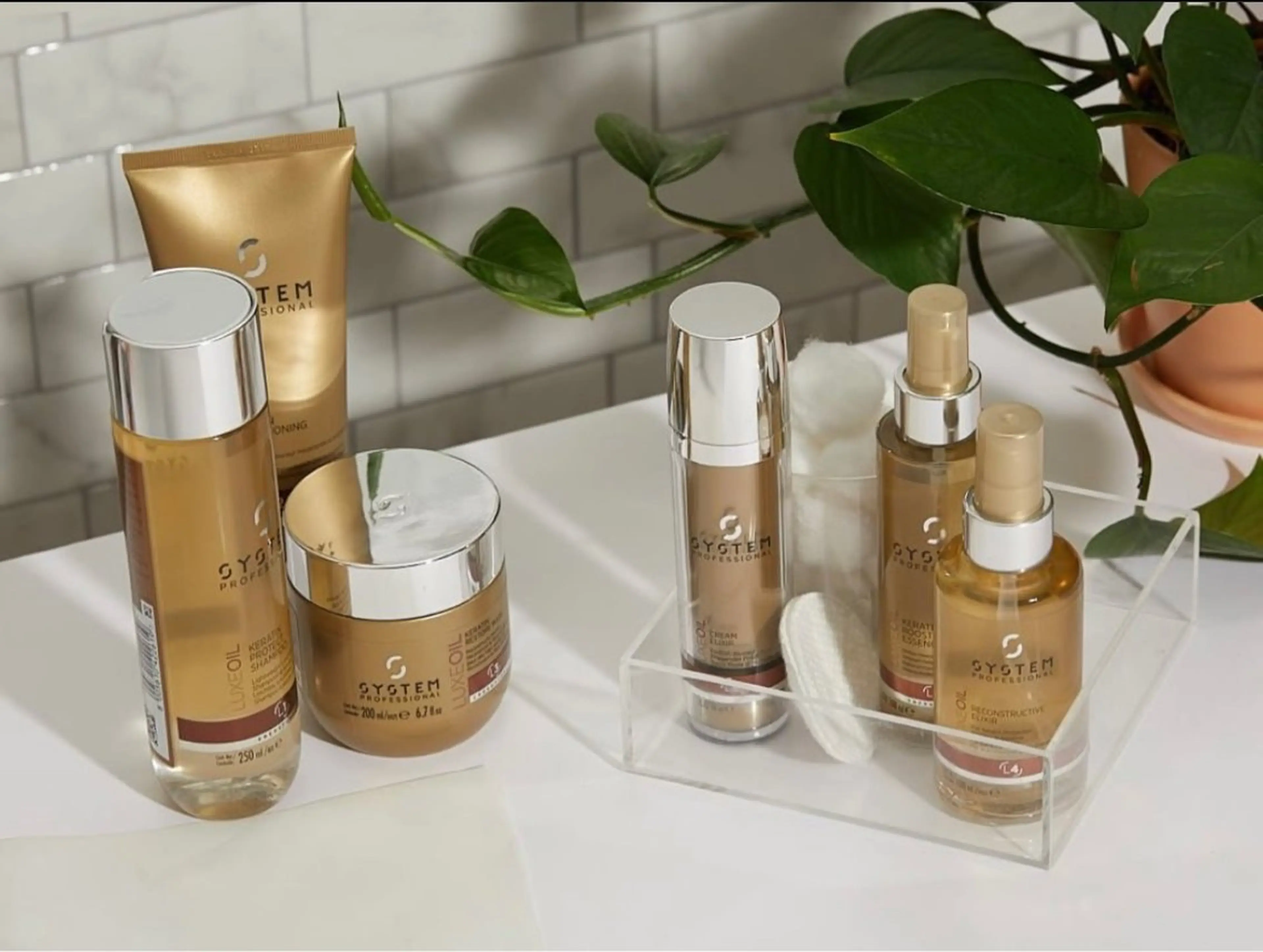 カラー 🪩miyu 💋💥のヘアスタイル