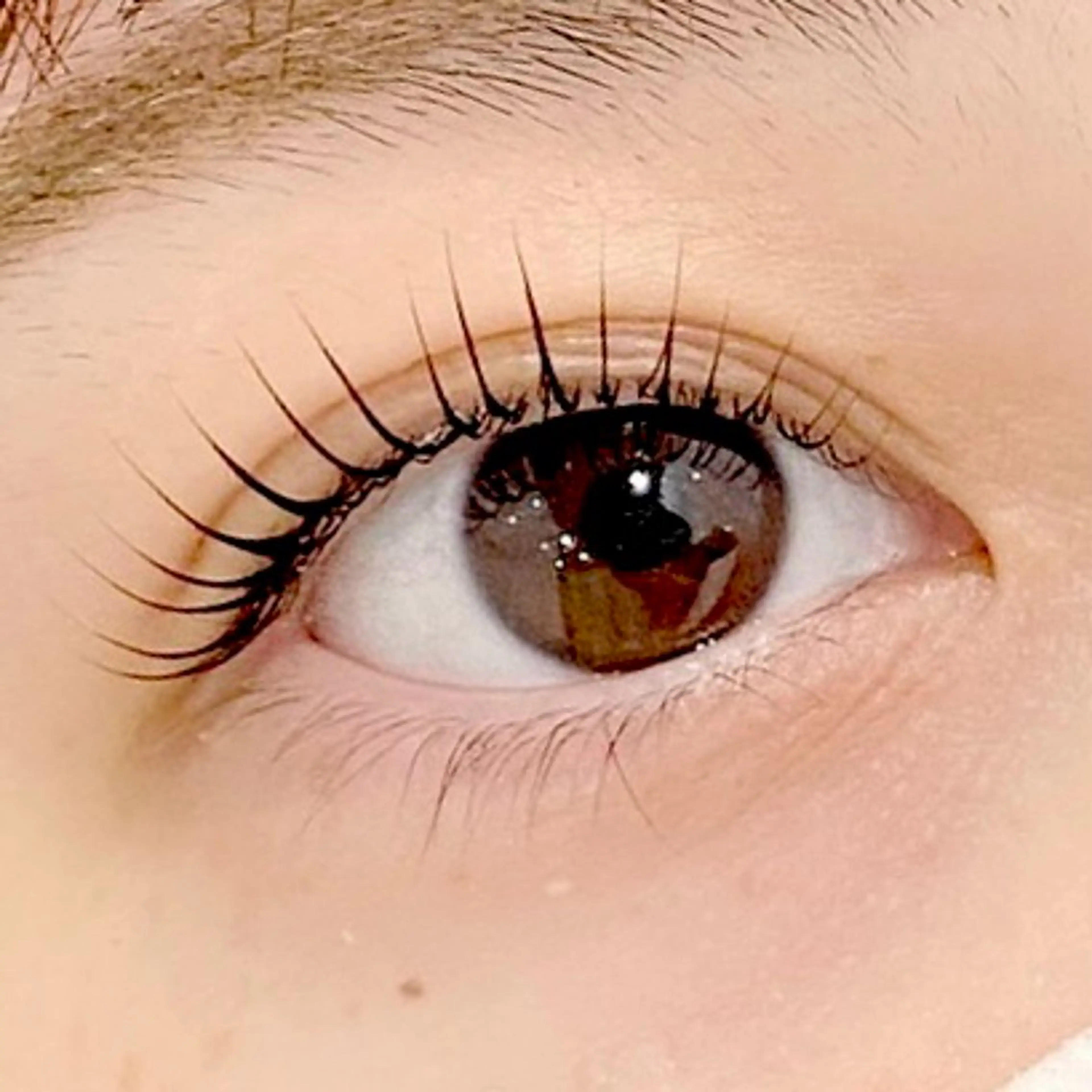 マツエク・マツパ carrefour noa 六本松所属・カルフールノア 六本松のマツエク・マツパデザイン