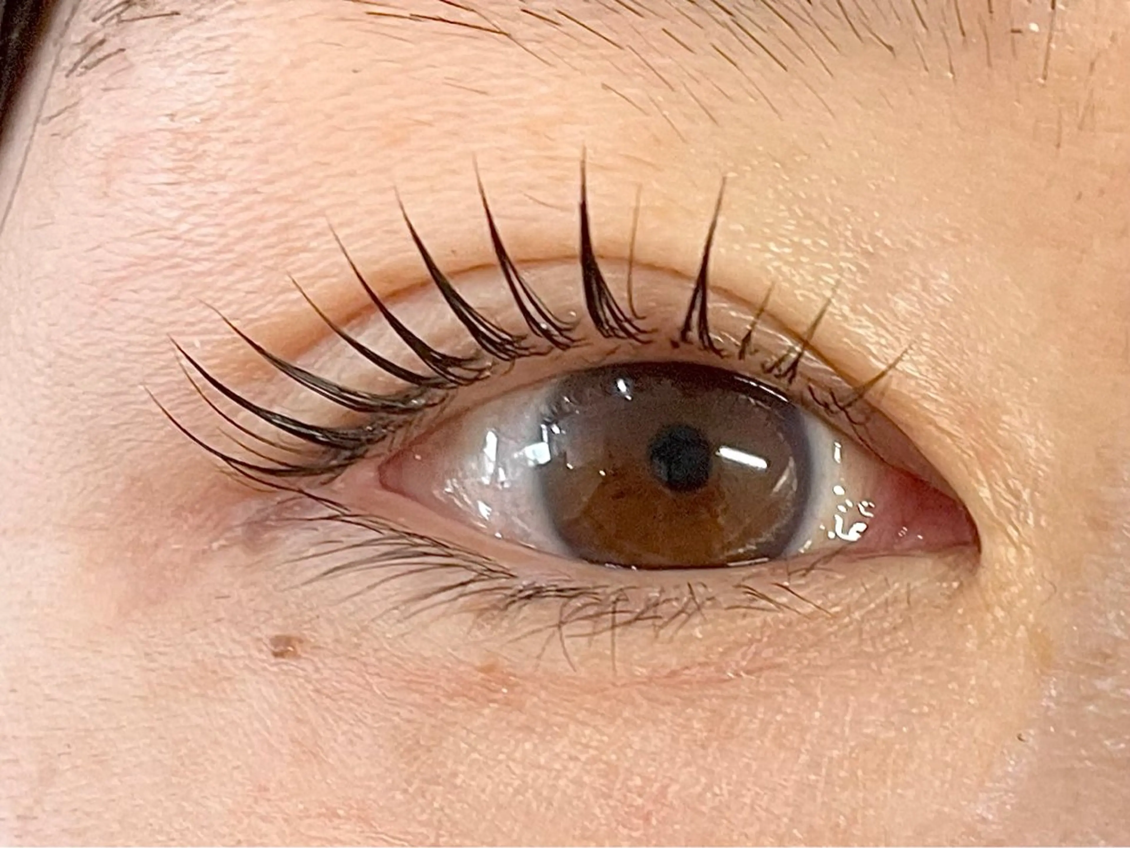 マツエク・マツパ パリジェンヌラッシュリフト マツパ 中村彩香 (エフドゥ)のマツエク・マツパデザイン