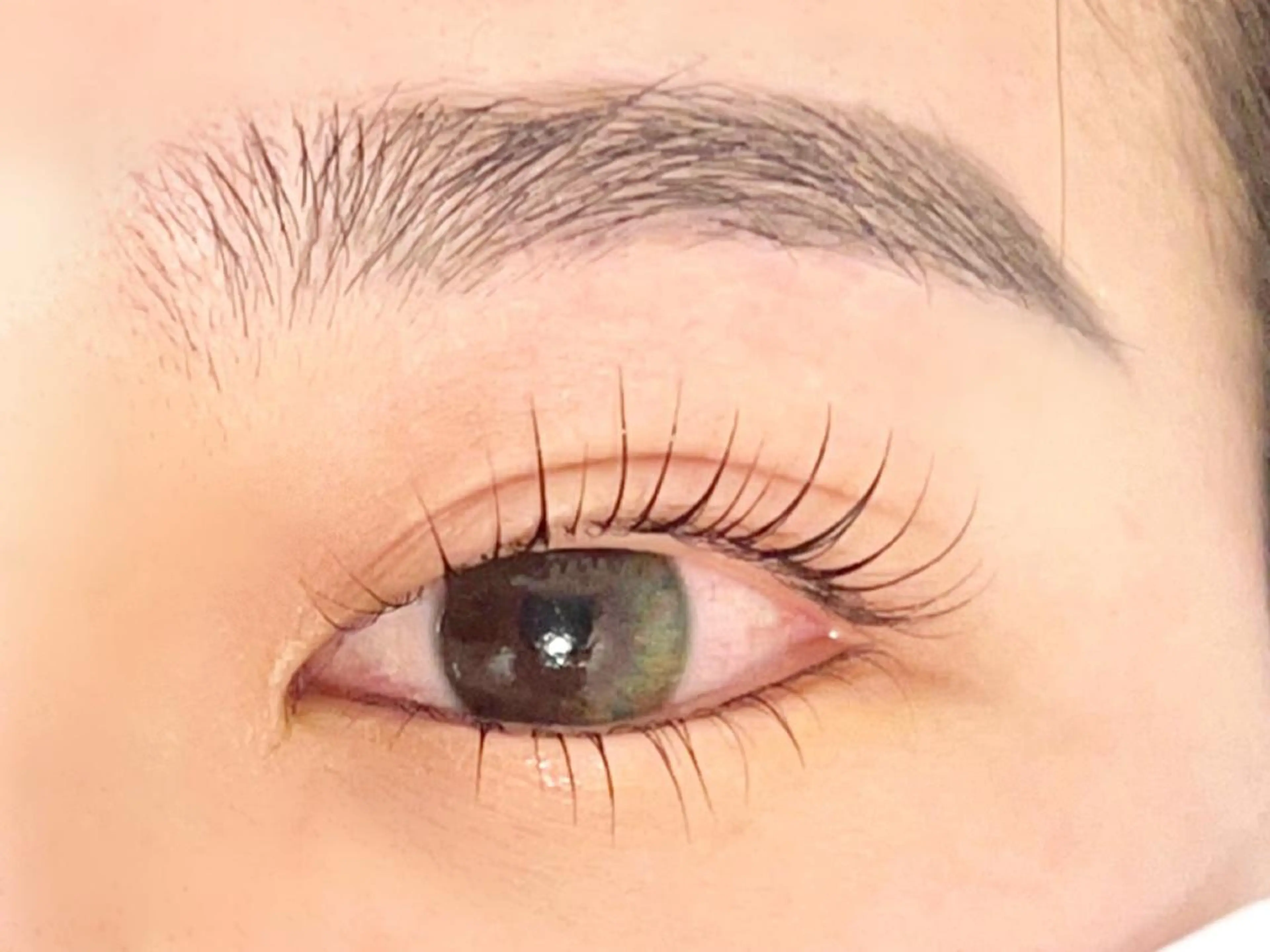 💛目の縦幅最大限❣️上下パーマ👀✨パリジェンヌorまつ毛パーマ🕊　※オフなしの写真