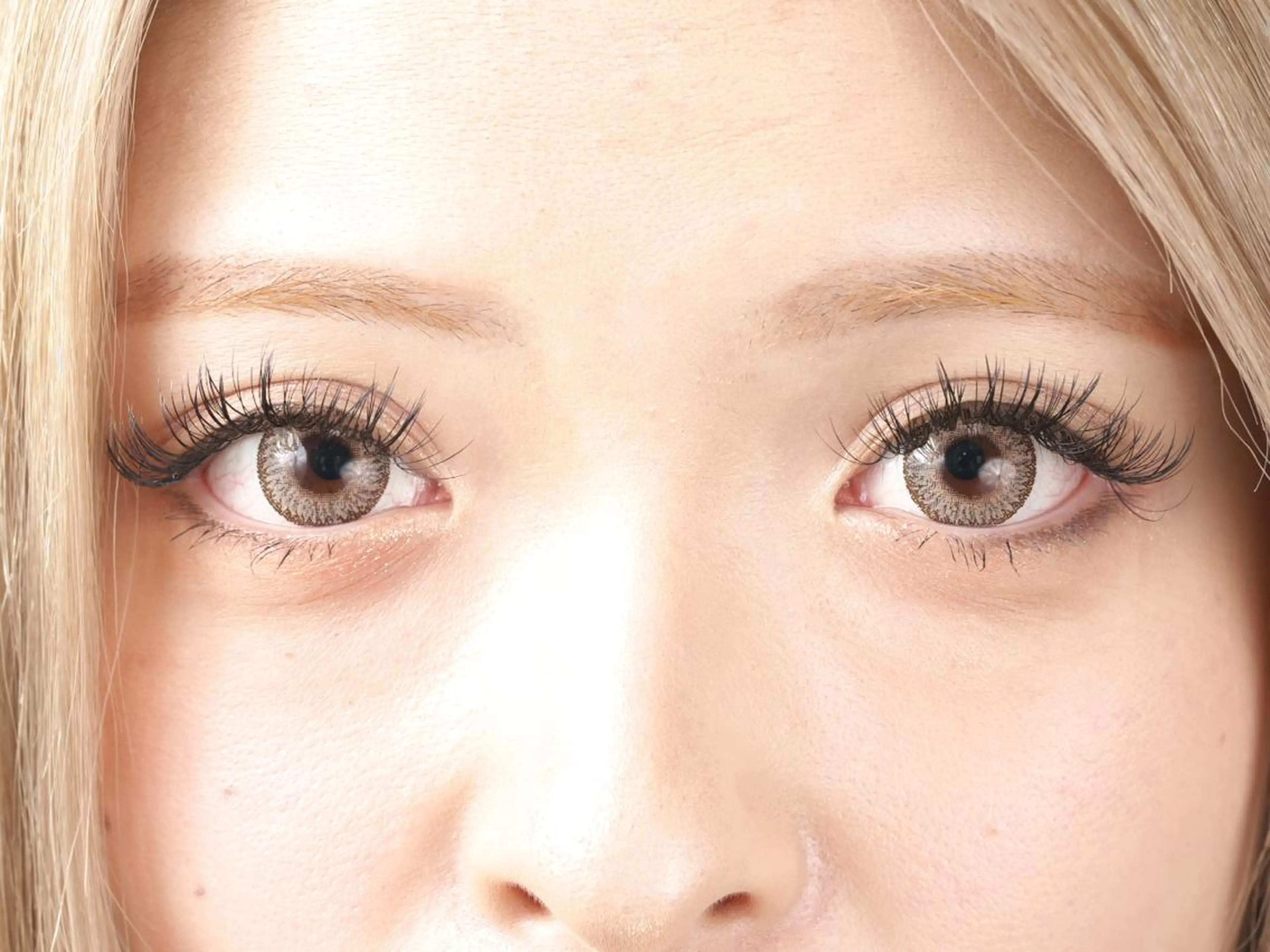 バインドロック160束の写真