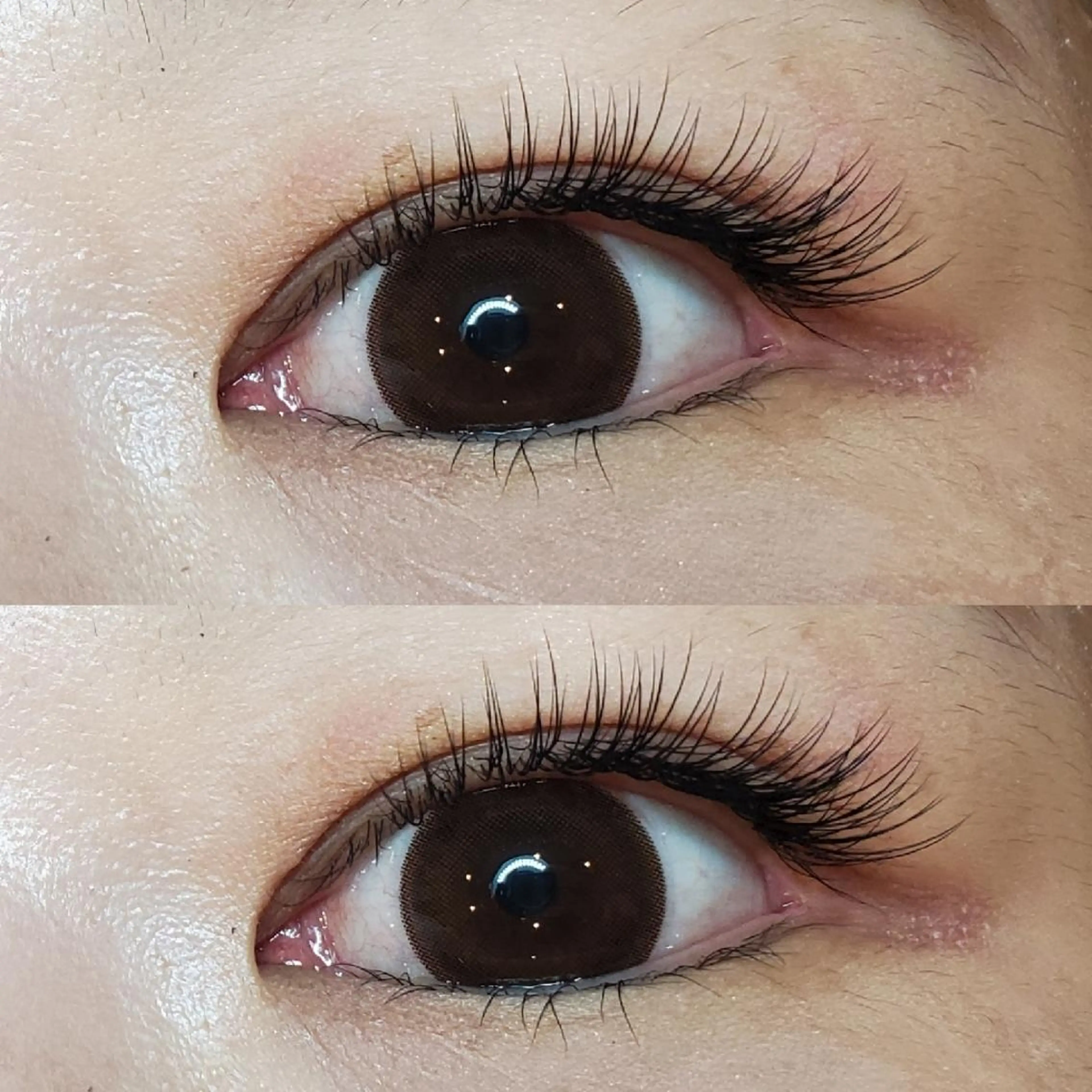 マツエク・マツパ eyelashsalon   rocolush 所属・★Hoshino★ 新宿西口 ·͜·🌟のマツエク・マツパデザイン