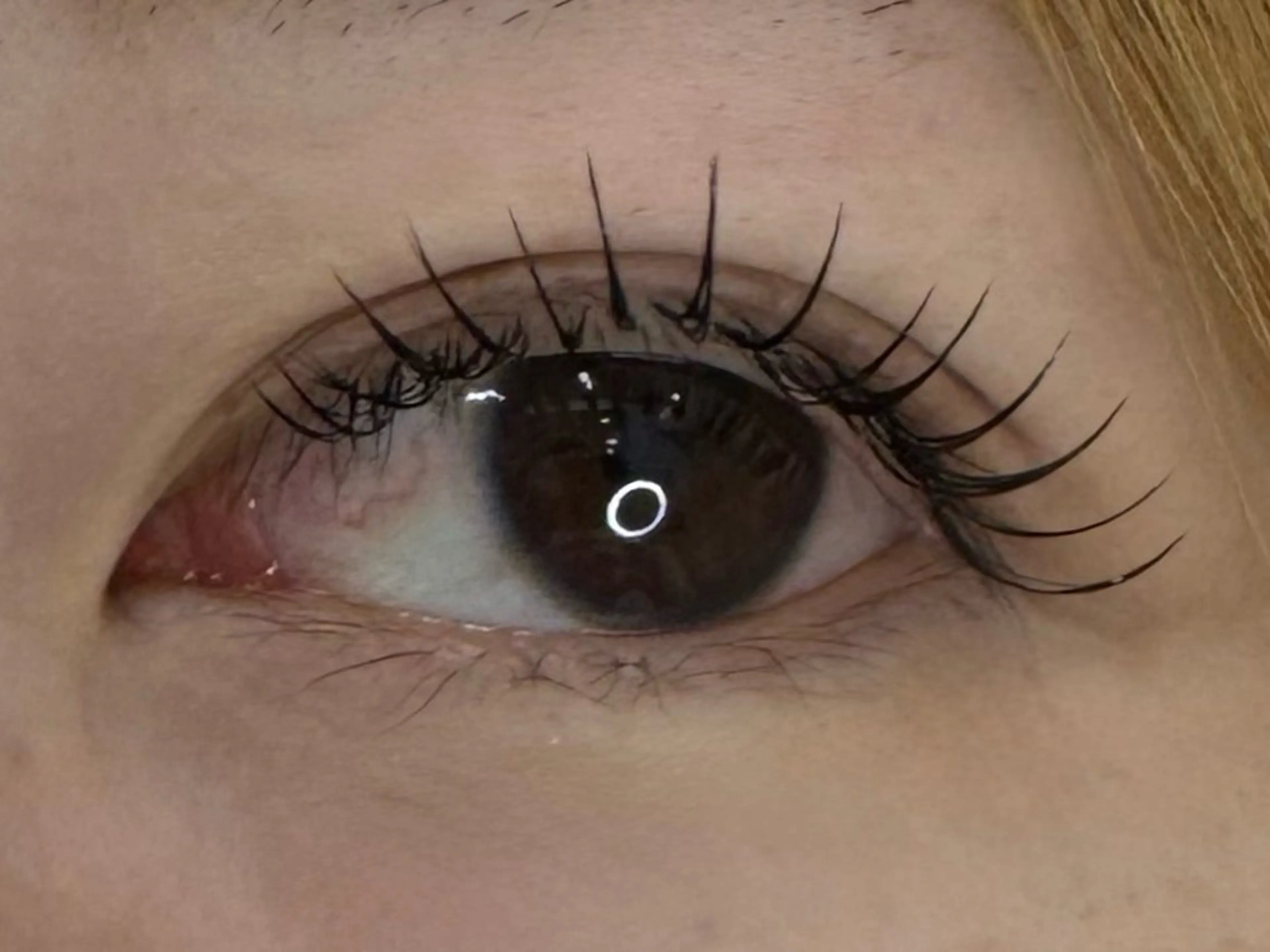 LEDフラットラッシュ100本✨クリアコーティング付きの写真