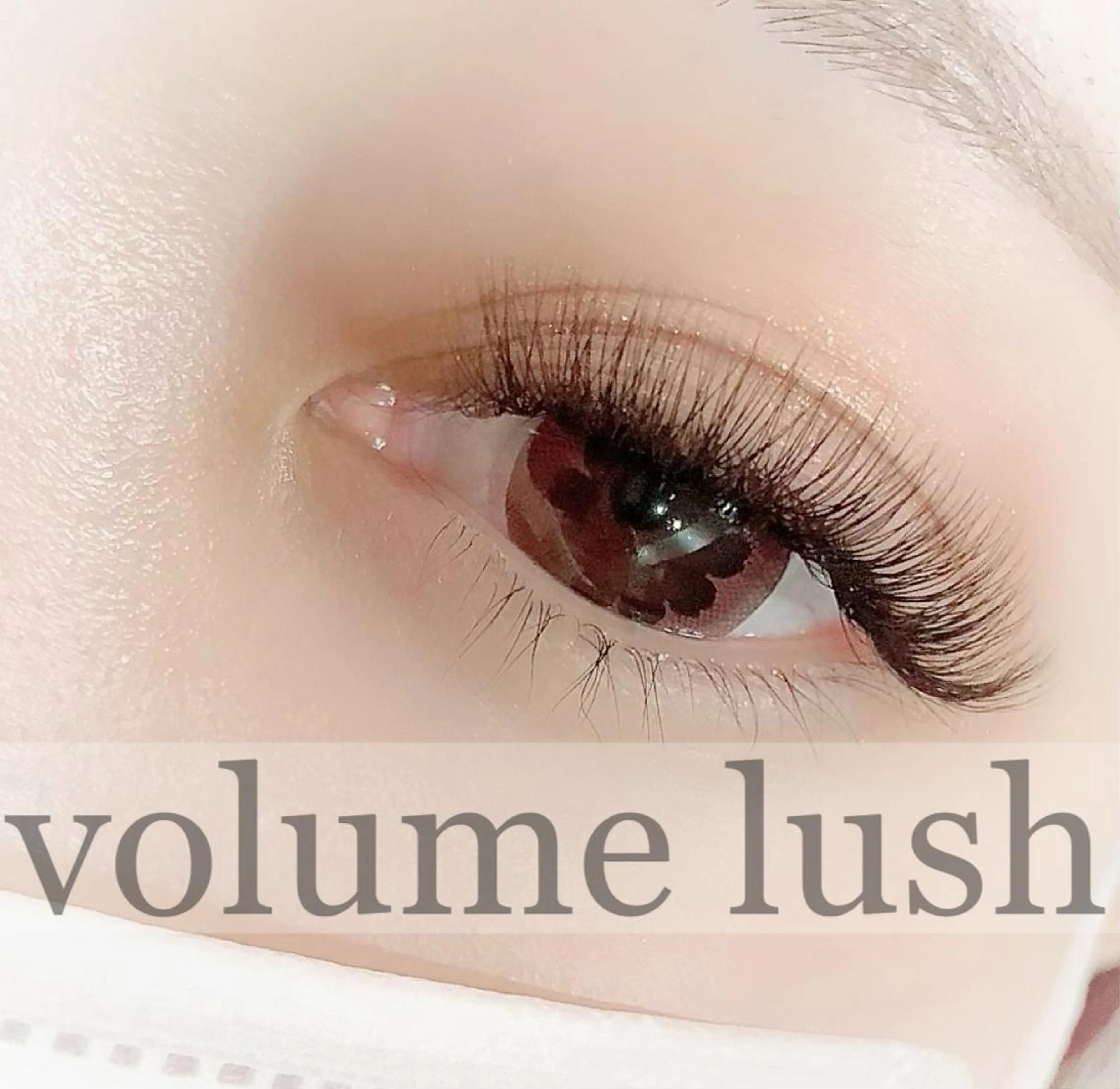 ボリュームラッシュ300の写真