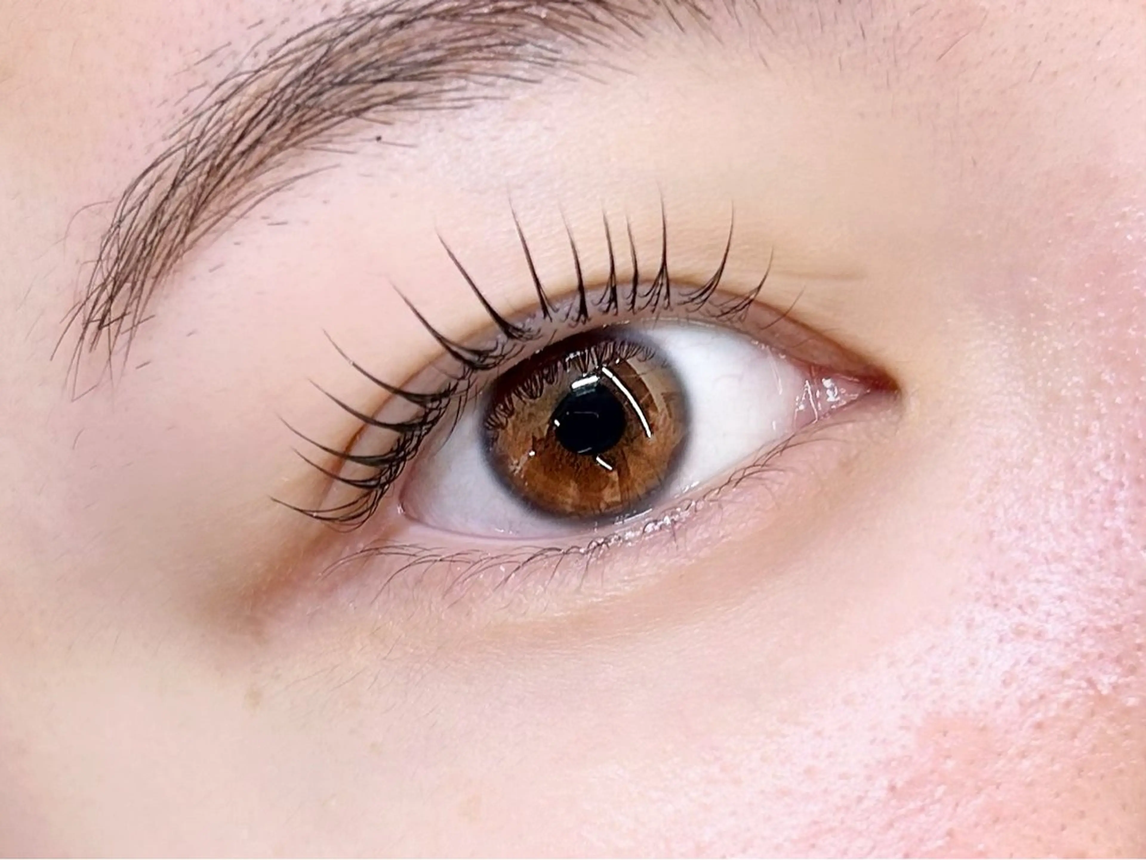 マツエク・マツパ パリジェンヌラッシュリフト 一重×まつ毛パーマ マツパ SUNNY 二俣川 yuri🌷のマツエク・マツパデザイン