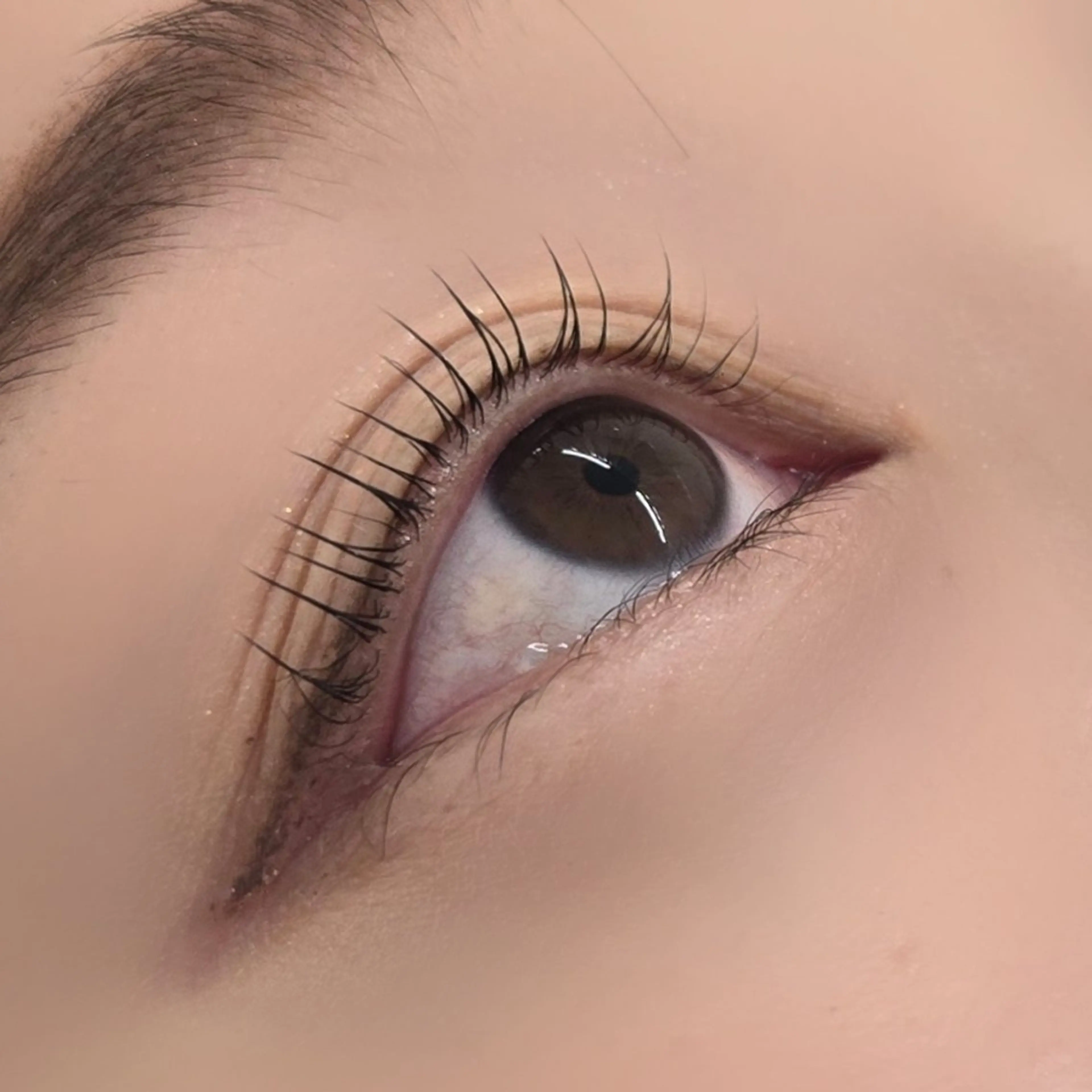 マツエク・マツパ グランアイ𑁍 船橋北口店菊間の眉毛・アイブロウイメージ