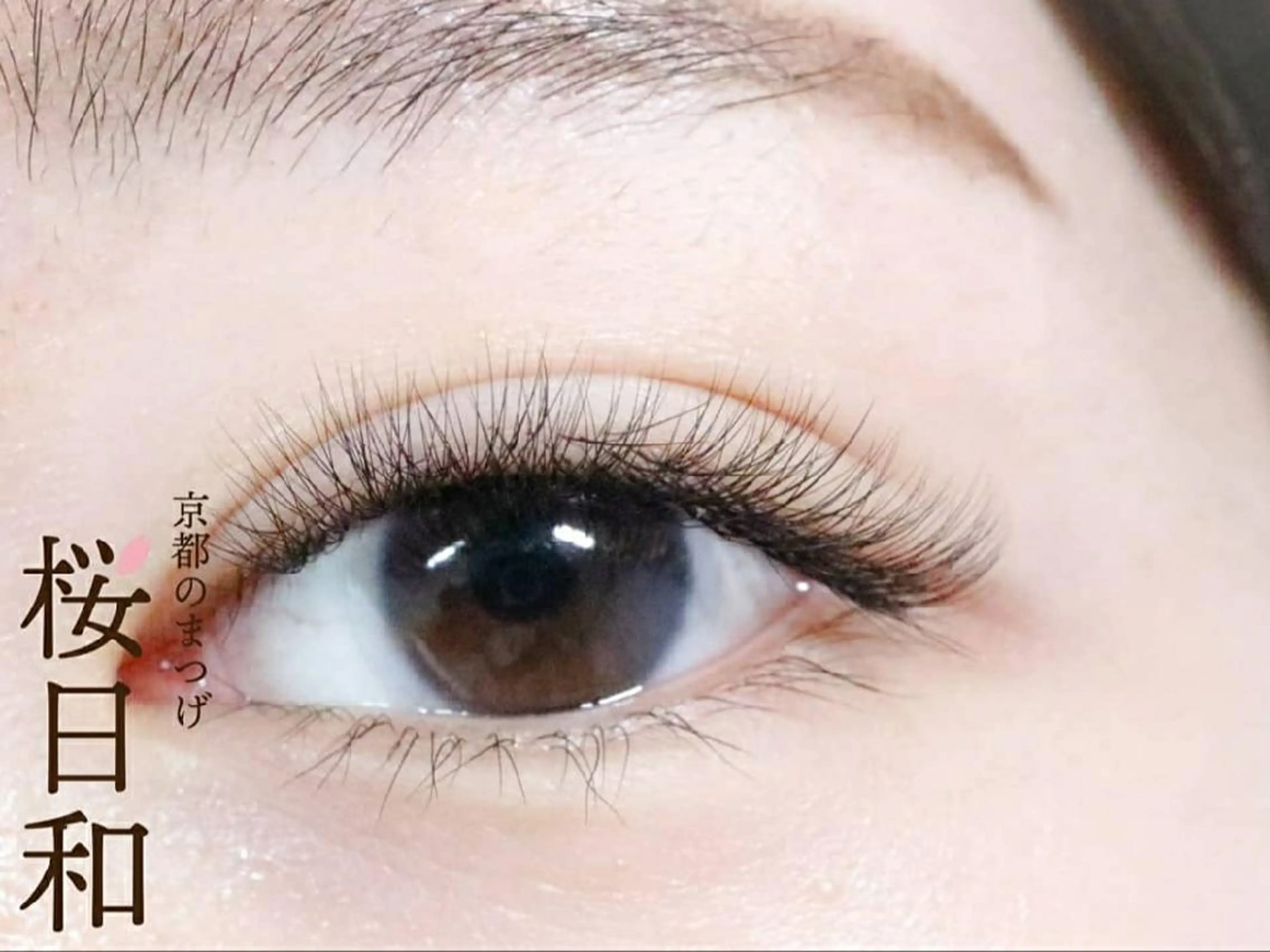 マツエク・マツパ フラットラッシュ まつげパーマ 一重×まつ毛パーマ ボリュームラッシュ マツエク 京都のまつげ桜日和 小島美桜のマツエク・マツパデザイン