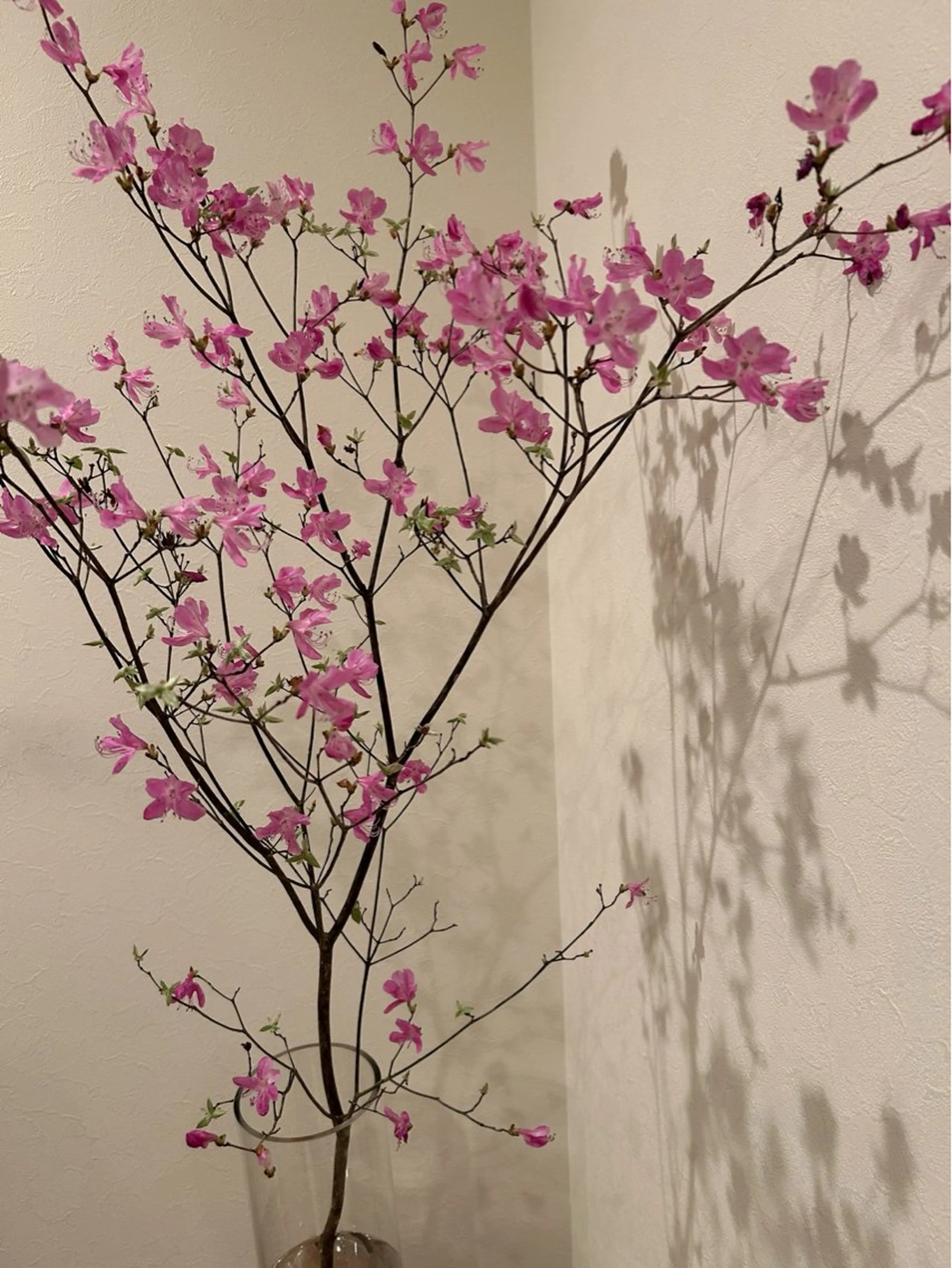 エステ リラク 小顔×肌質改善サロン soin〔ソワン〕のエステ・リラクイメージ