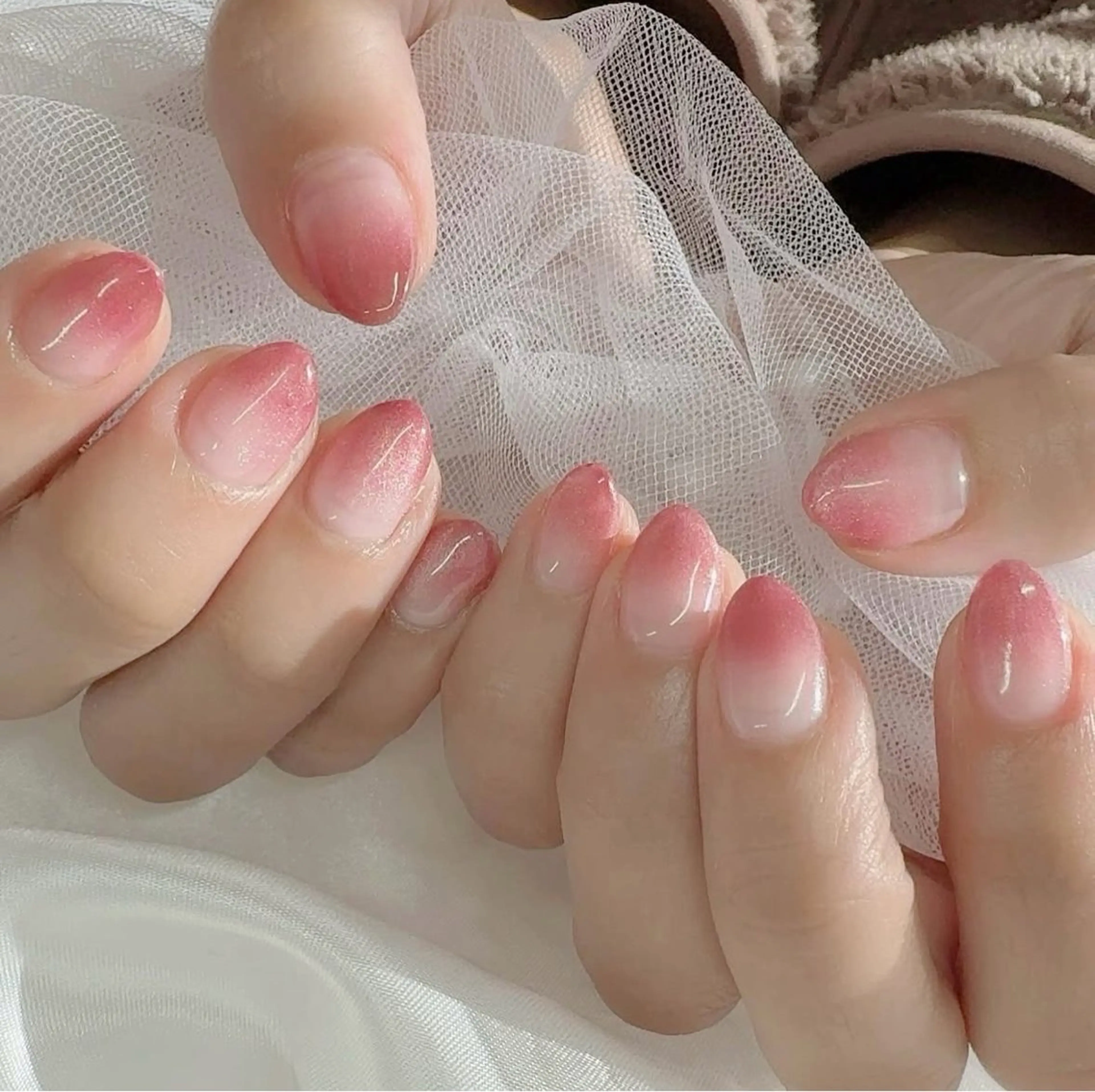 ラメグラ/カラグラの写真