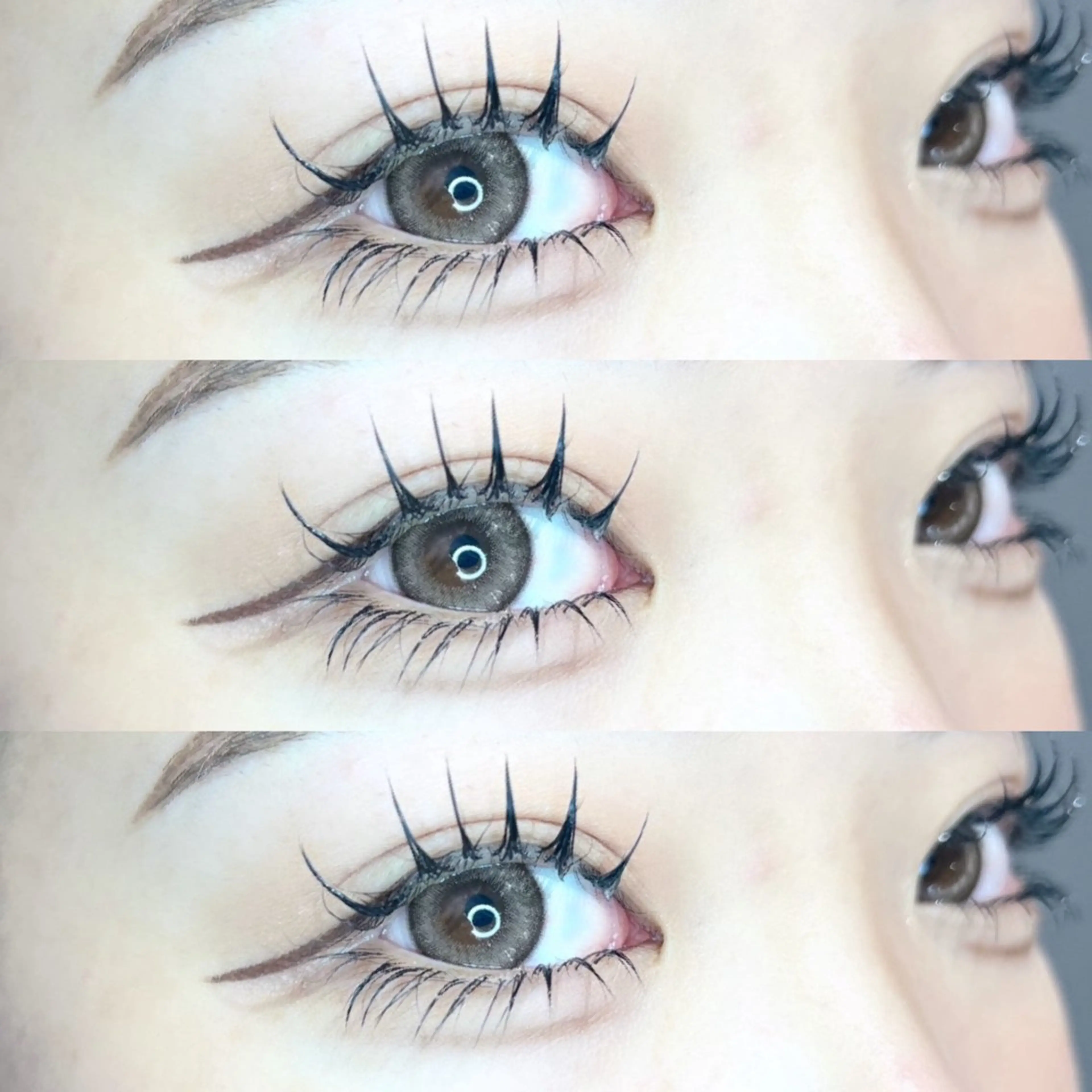 【♡リピーター限定♡】上パリジェンヌラッシュリフト×下まつげエクステ30本🌹の写真