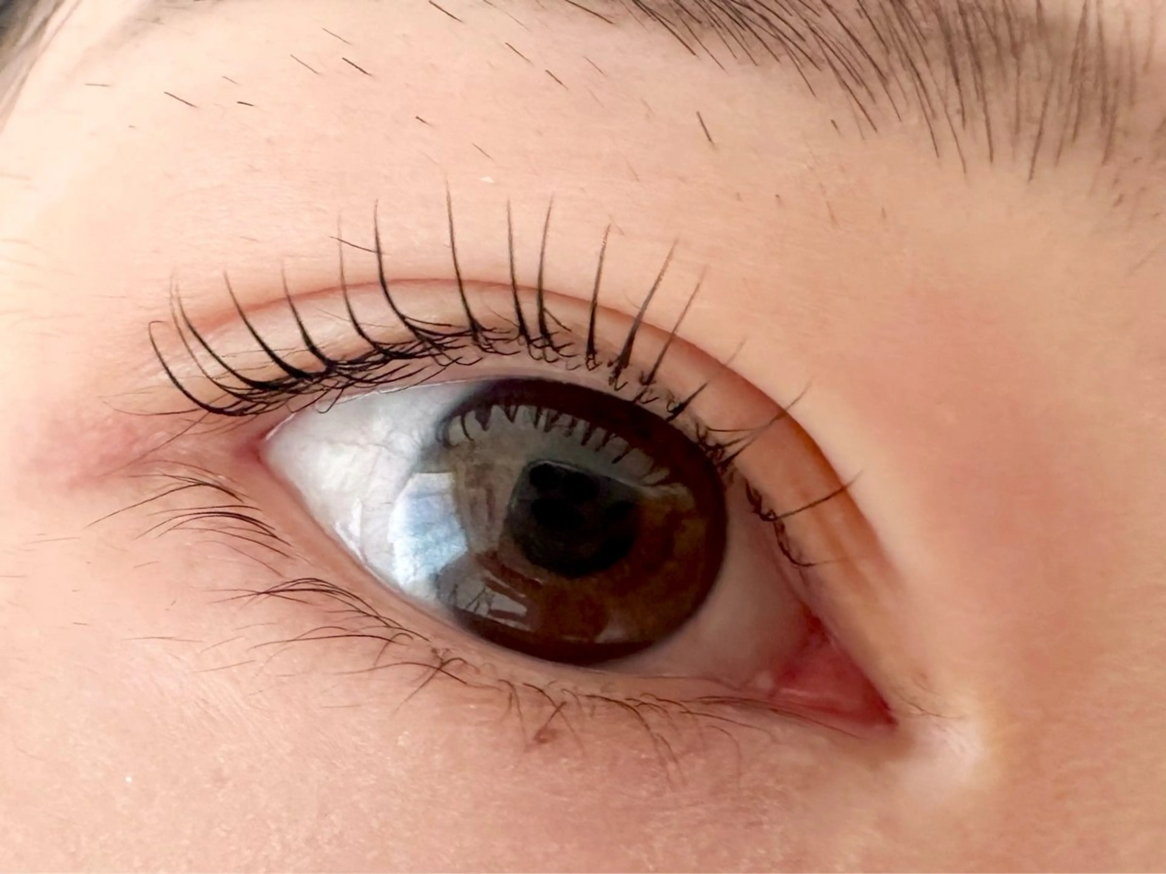 【シン専用】フラットラッシュ上100本　下20本　オフ無料の写真