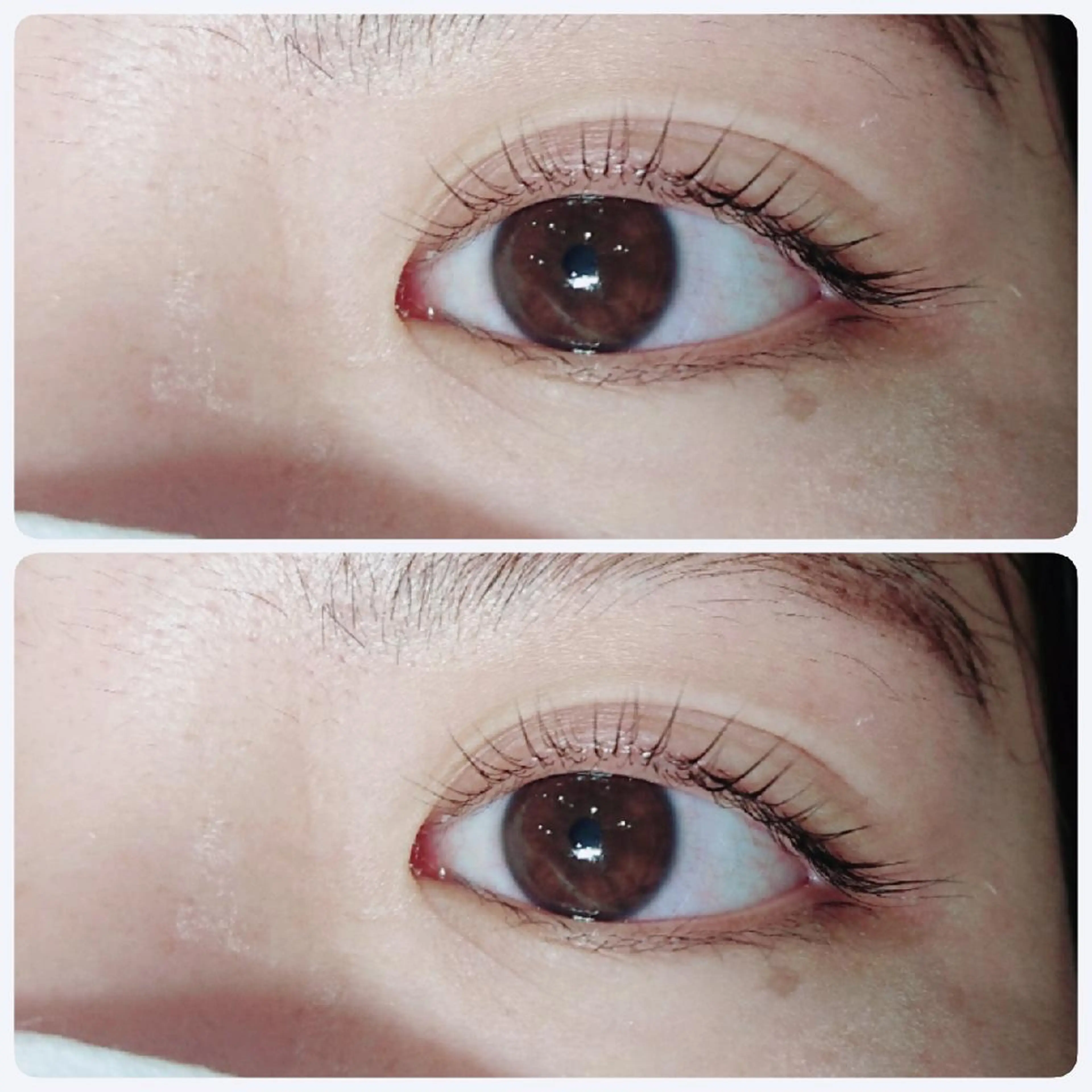 マツエク・マツパ パリジェンヌラッシュリフト * Yumikoのマツエク・マツパデザイン