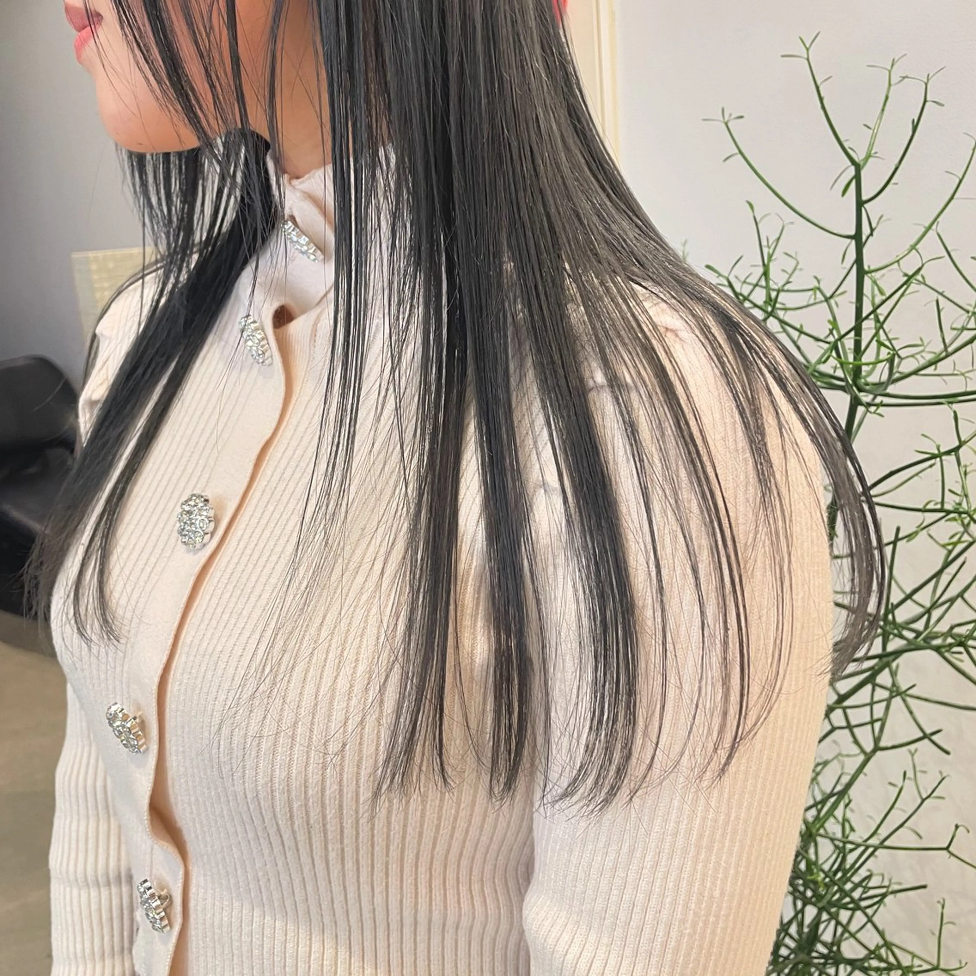 カラー December渋谷所属・無料カットモデル募集 / 涼 乃のヘアスタイル