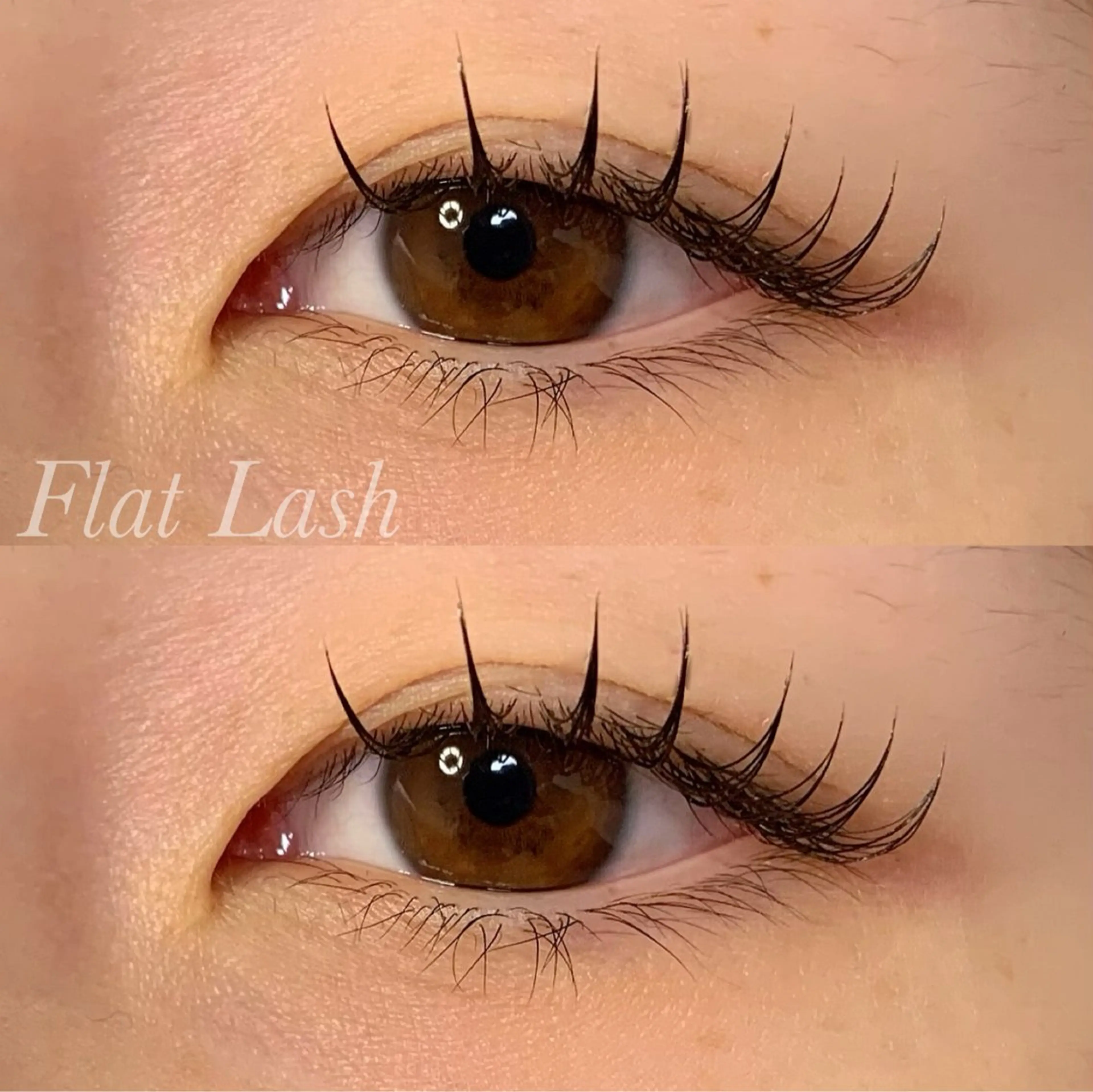 マツエク・マツパ Cカール フラットラッシュ Ayumi.pro 🍆N《4階》のマツエク・マツパデザイン