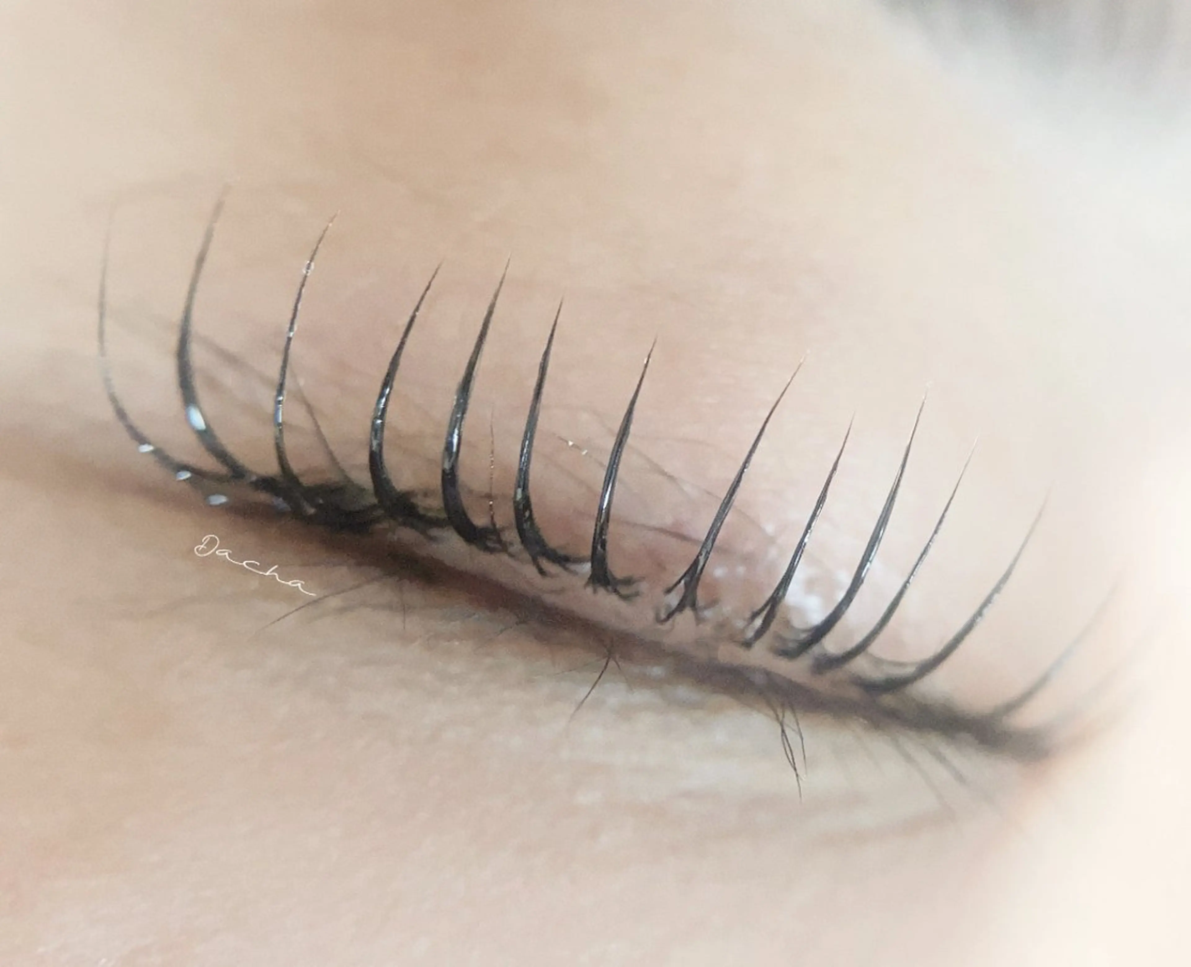 マツエク・マツパ Dacha まつ毛屋さんのマツエク・マツパデザイン