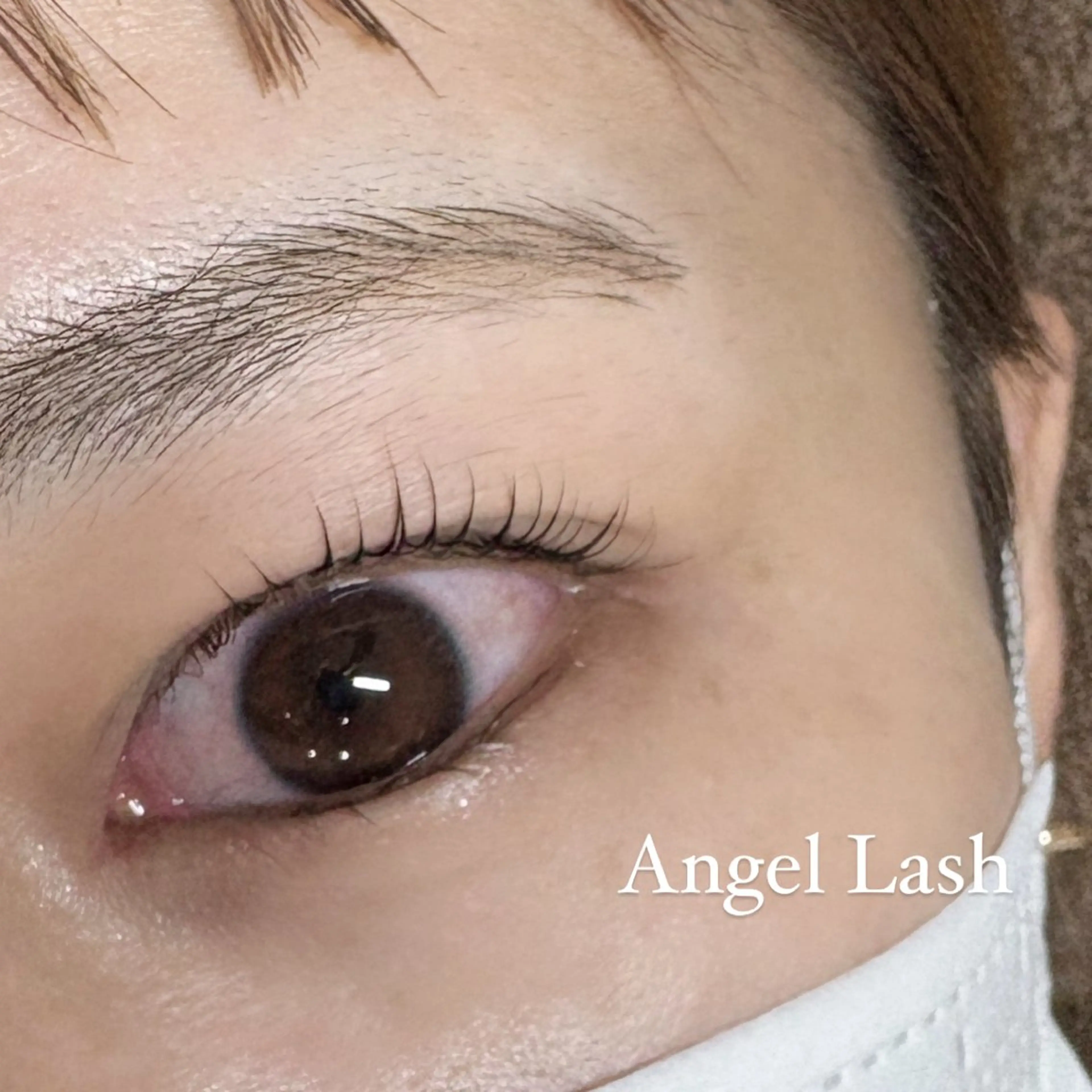 マツエク・マツパ まつげパーマ AngelLash所属・AngleLash hayashiのマツエク・マツパデザイン
