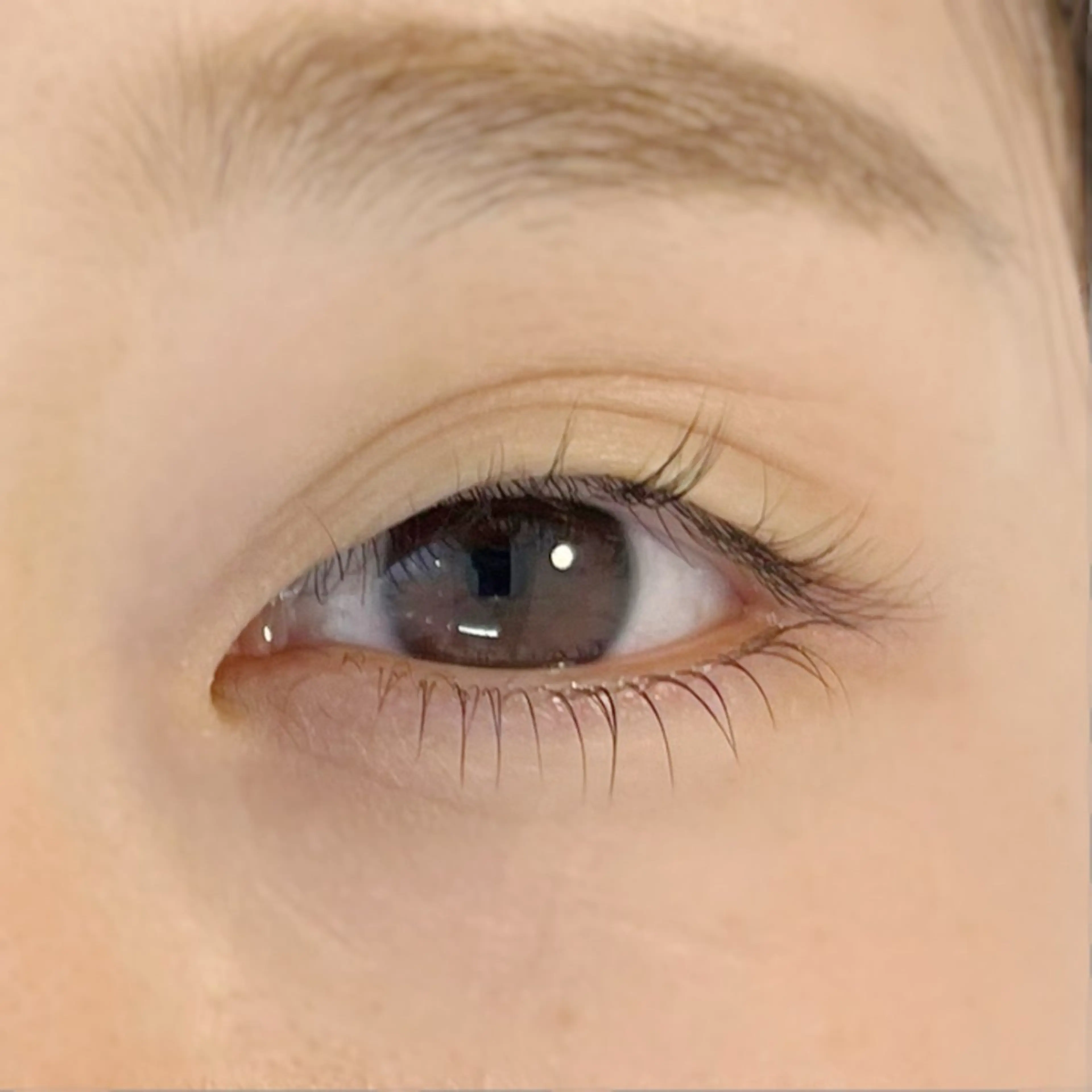 マツエク・マツパ まつげパーマ 下まつげエクステ 久住 花のマツエク・マツパデザイン