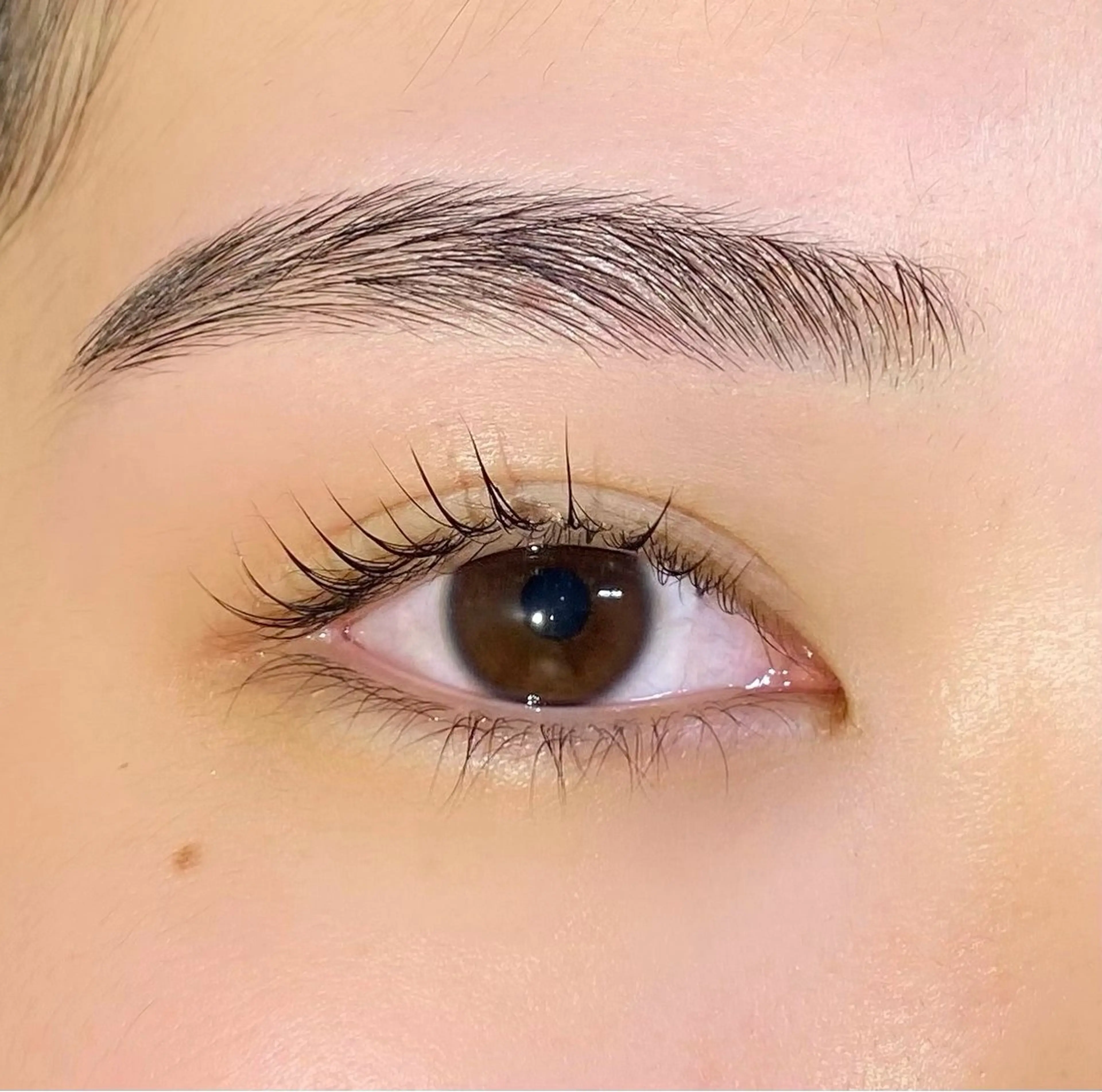 アイブロウ Plaisir イズミカワの眉毛・アイブロウイメージ