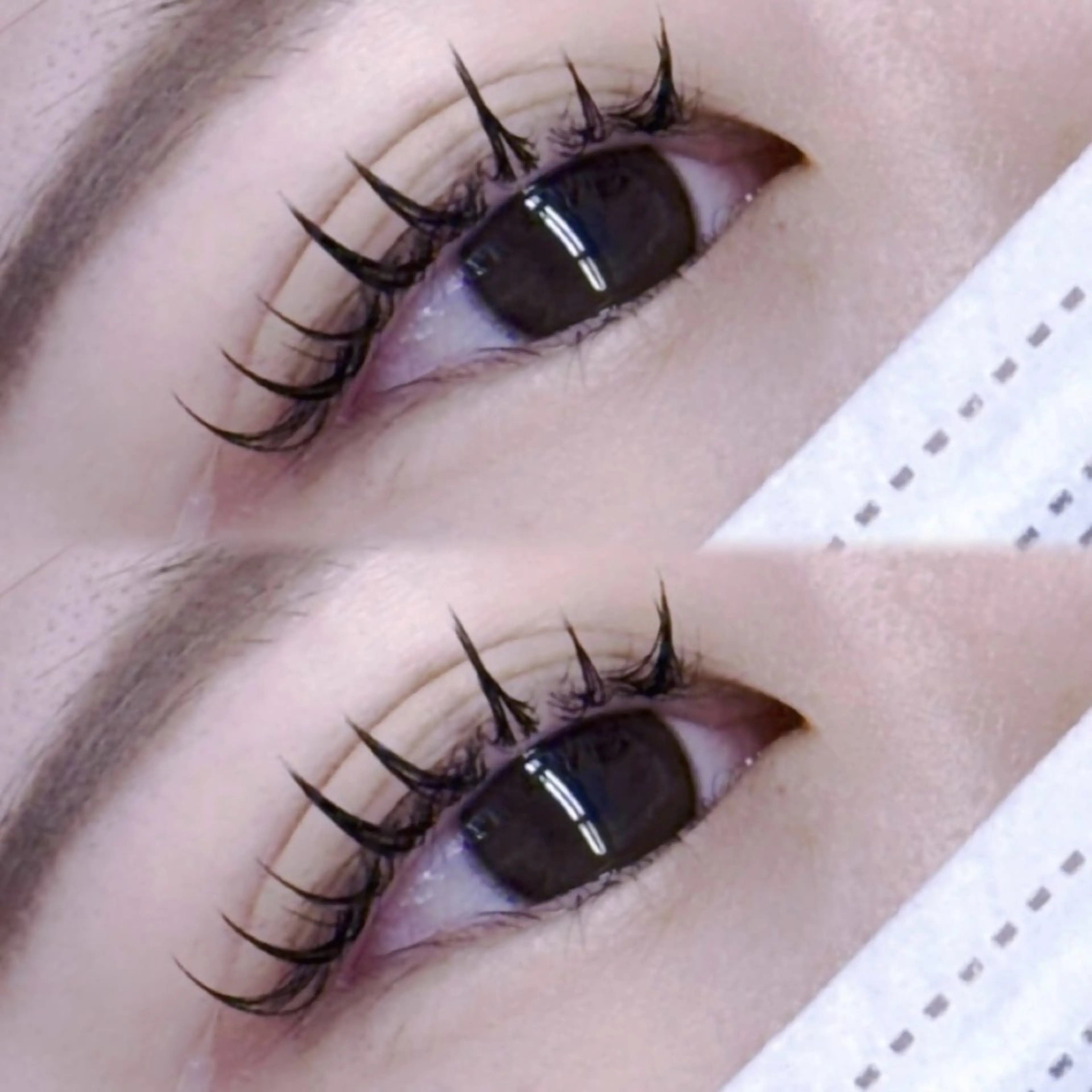 🪄LED✖️フラットラッシュ140本🪄オフなしの写真