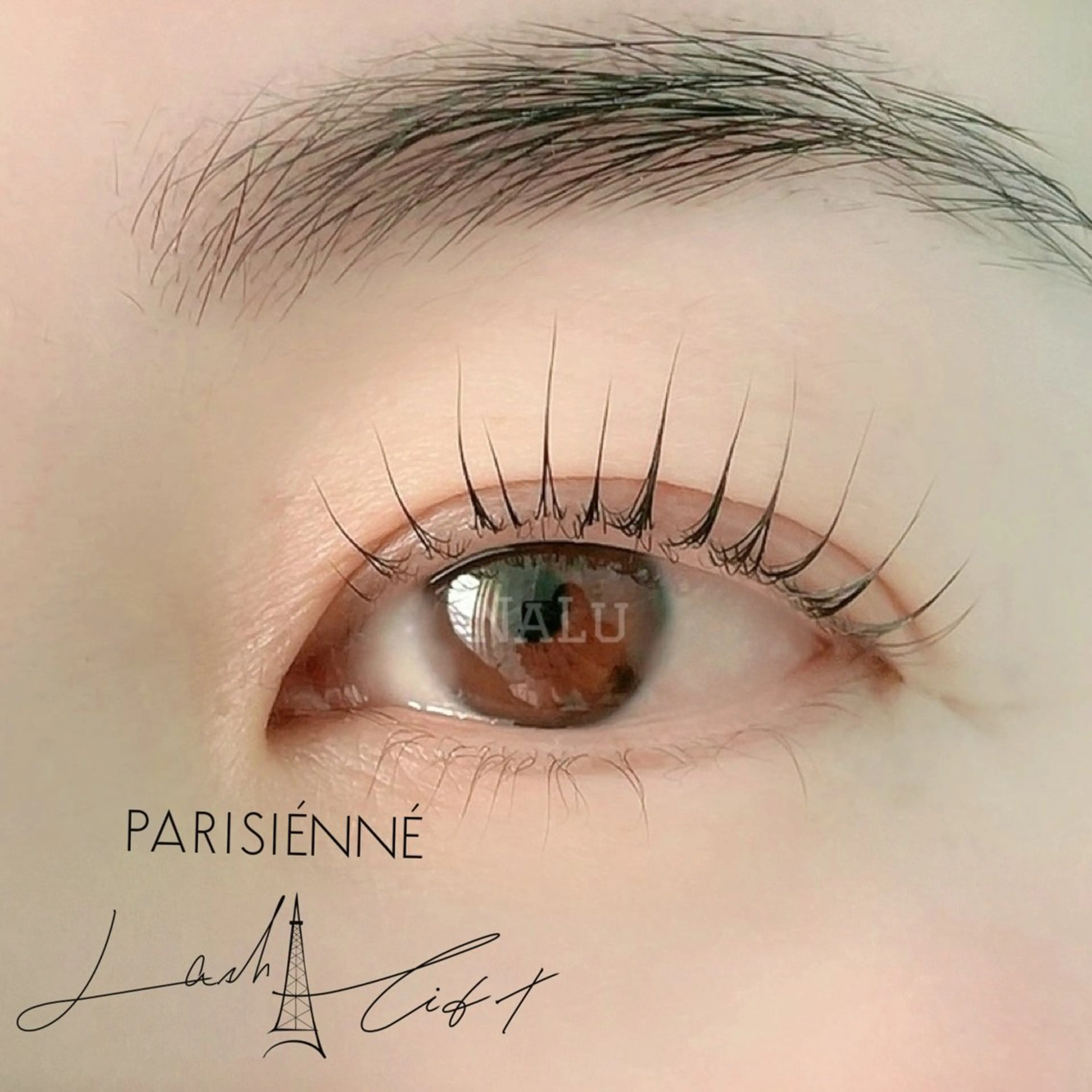 マツエク・マツパ まつげパーマ＆マツエ ク/NaLu ともみのマツエク・マツパデザイン