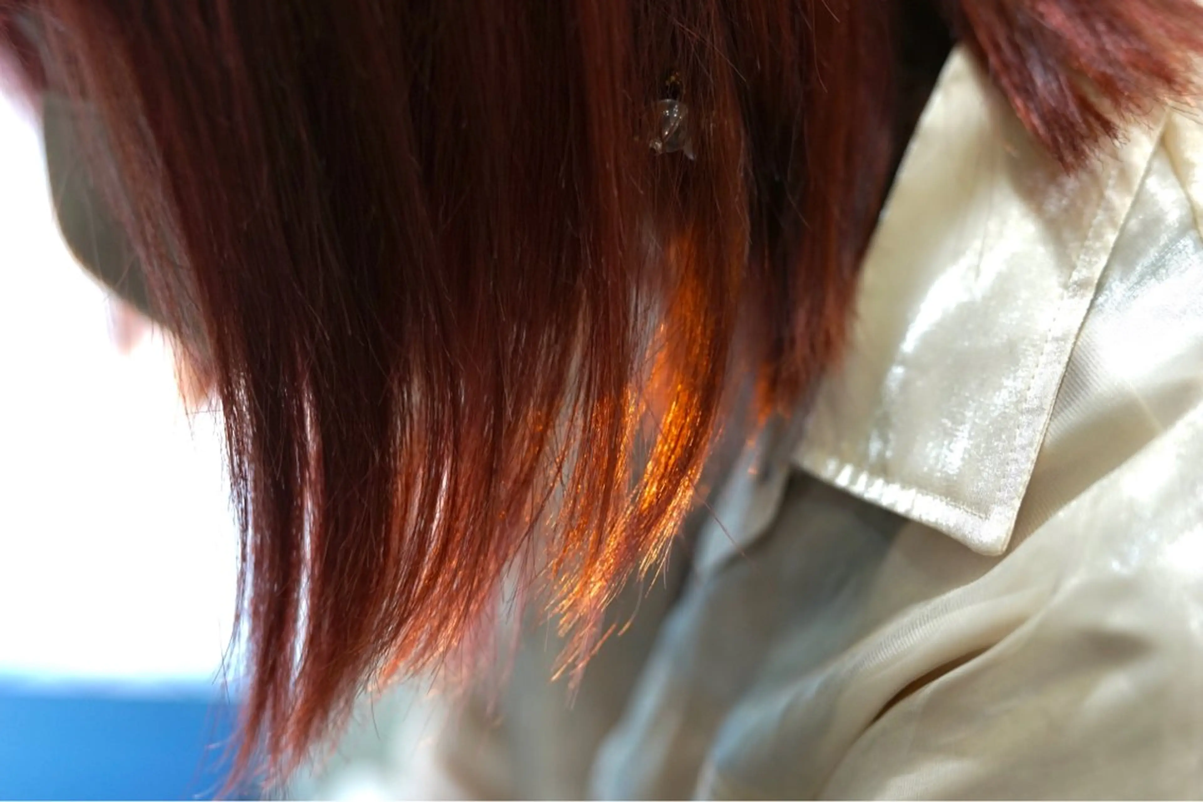 ミディアム カラー ブリーチ ダブルカラー ブリーチなしカラー Lulux Hair Salon所属・木村 楓羽歌のヘアスタイル