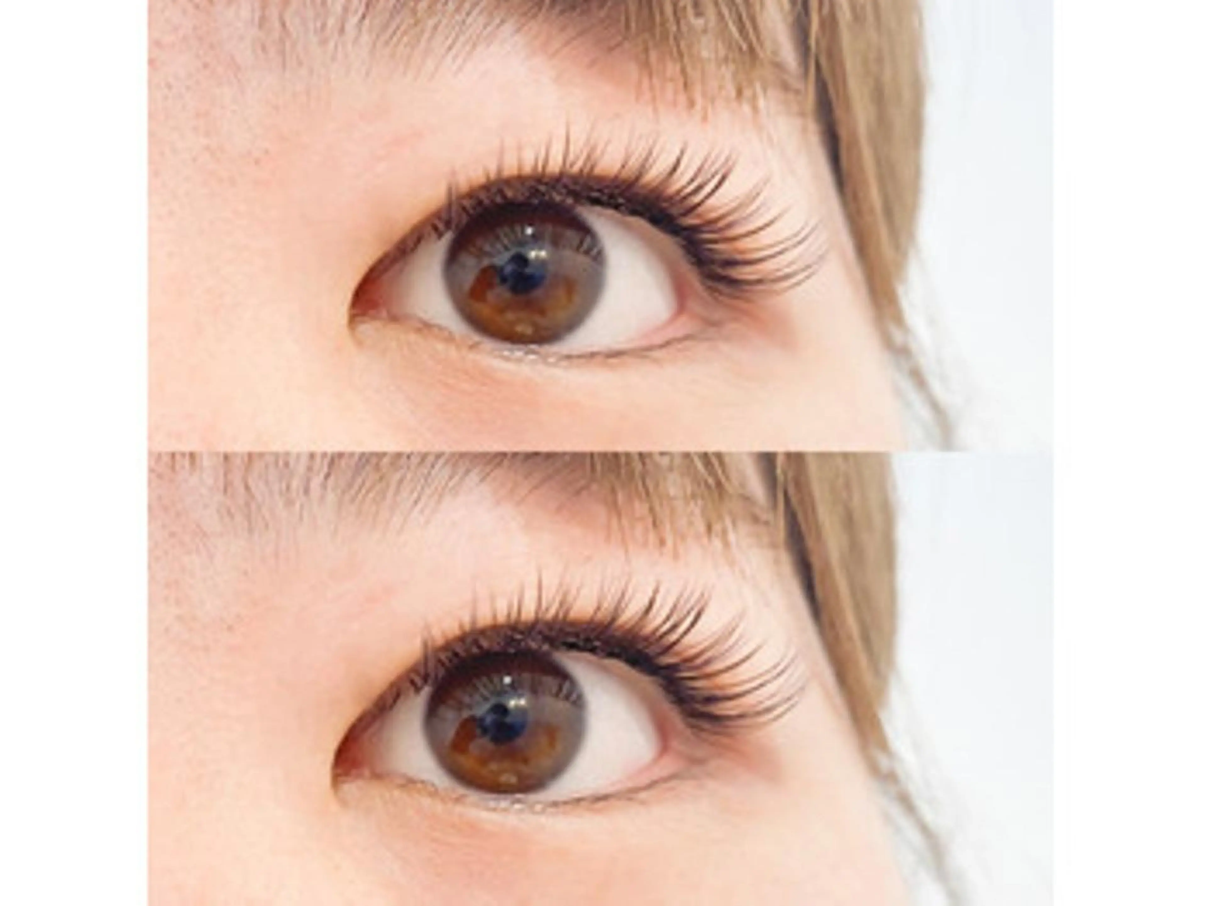 マツエク・マツパ カラーマツエク フラットラッシュ arvo新潟 万代店のマツエク・マツパデザイン