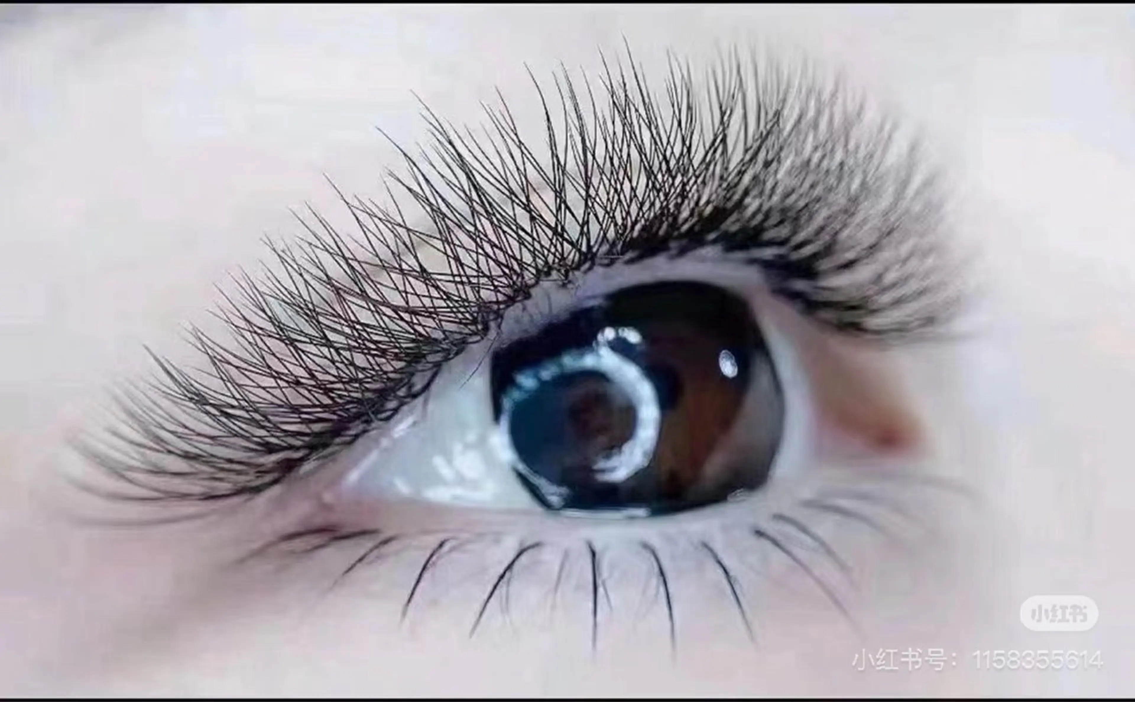 マツエク・マツパ 佐々木 茜のマツエク・マツパデザイン