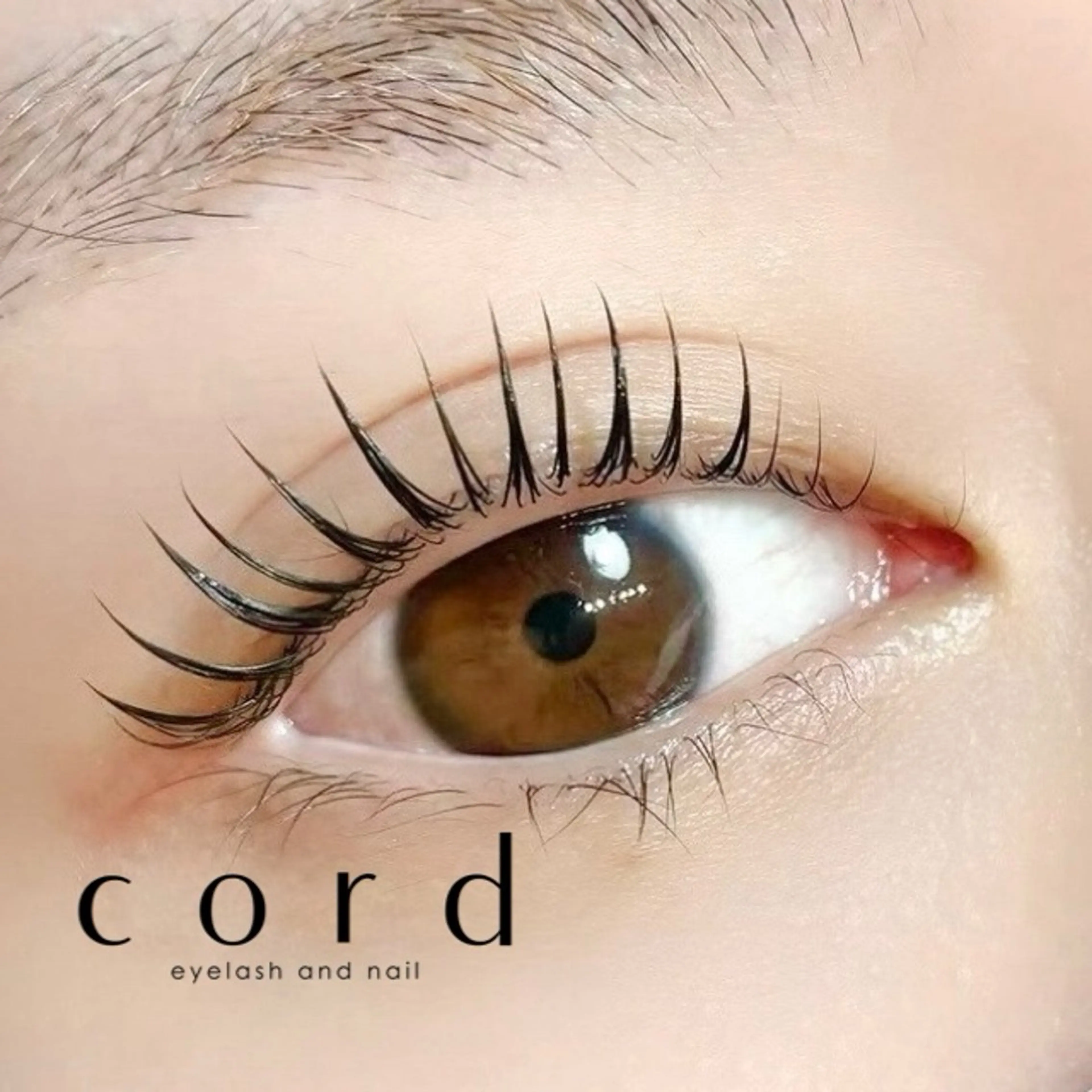 マスカラパーマ　カールタイプorリフトタイプ(パリジェンヌ)10分前必須　コーティング材お仕上げ✨の写真