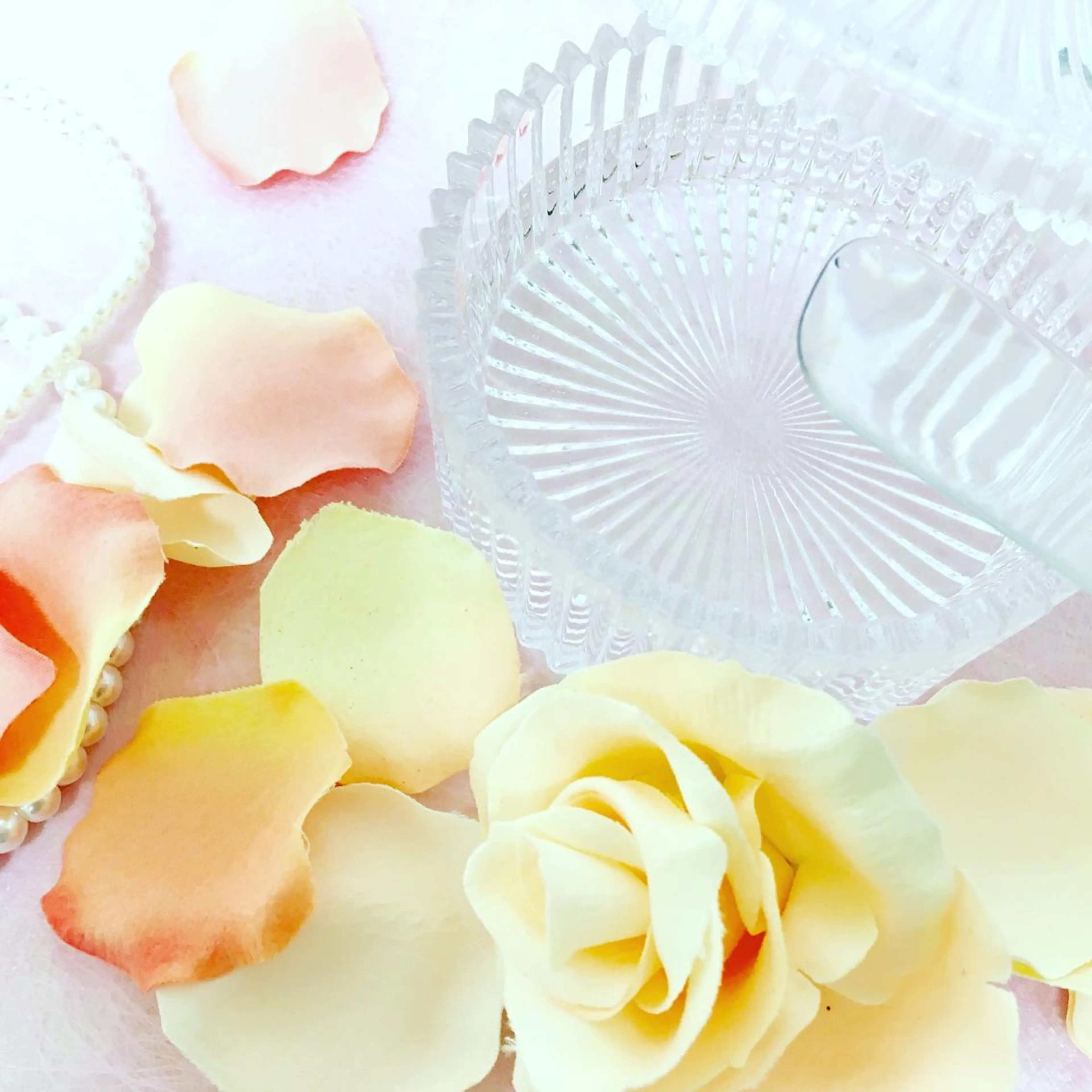 💙【学生限定】《ひざ下orひじ下》脱毛5回9,900円💙ヒアルロン酸配合ジェル使用🥰の写真