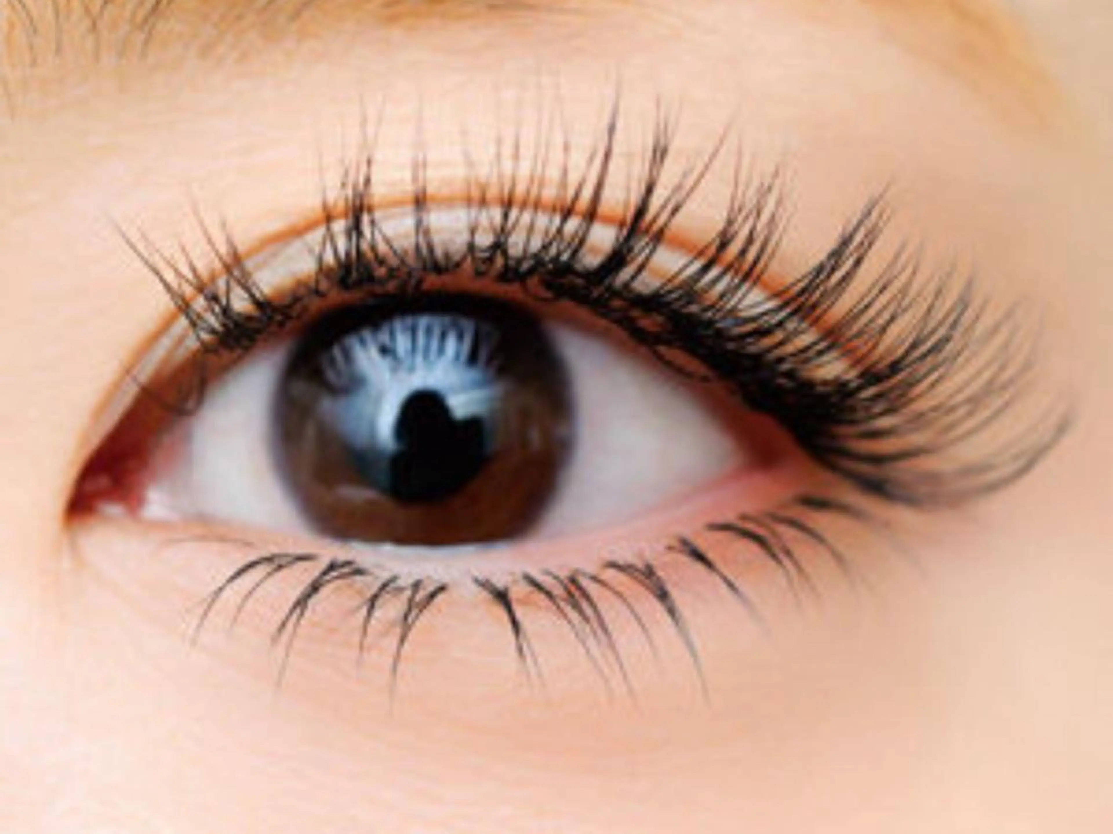 【フラットラッシュ】90分上下つけ放題(オフ込)の写真