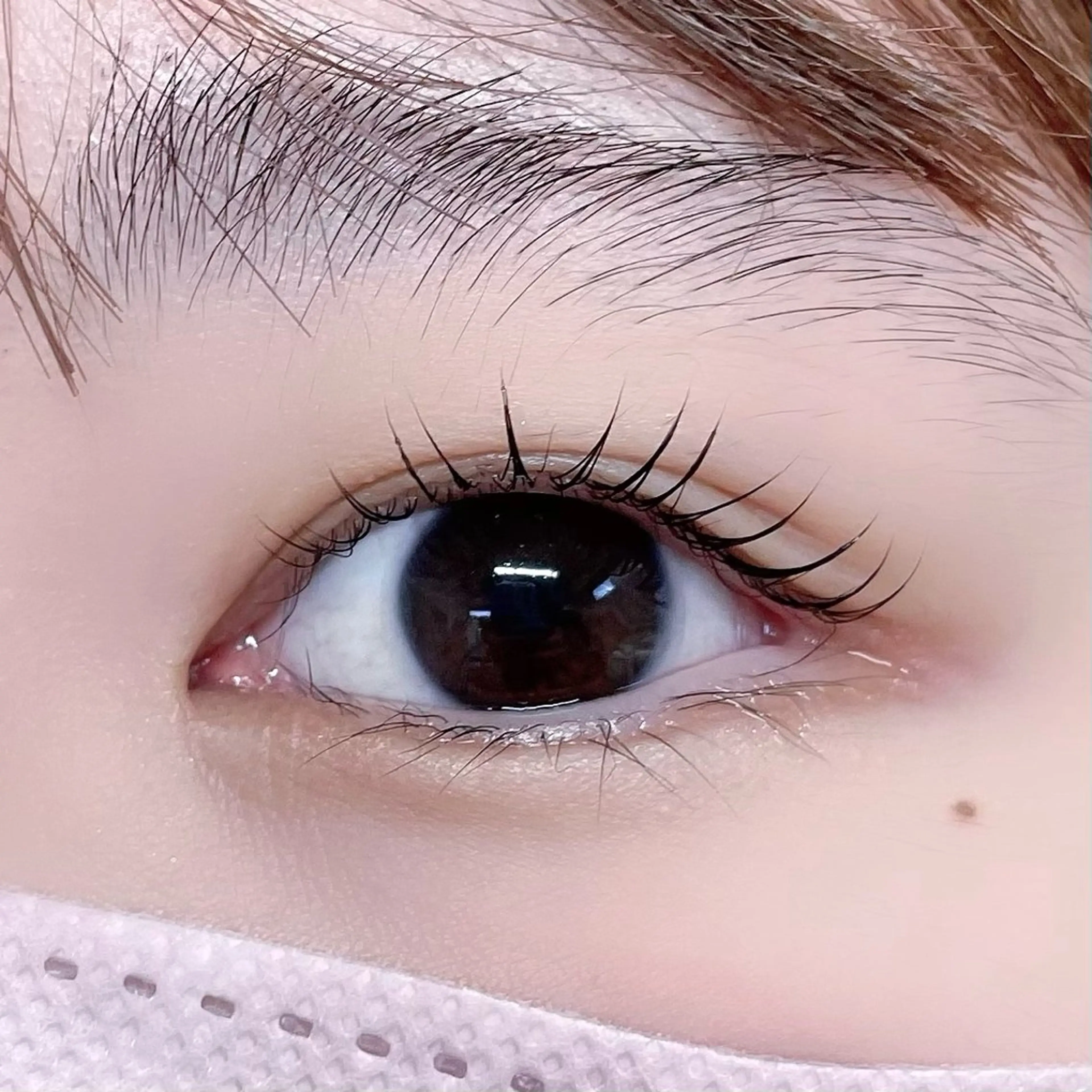 ใใใจใฏใปใใใ ใใใ ๐๐๐๐๐ ๐ฆ๐ใฎใใใจใฏใปใใใใใถใคใณ