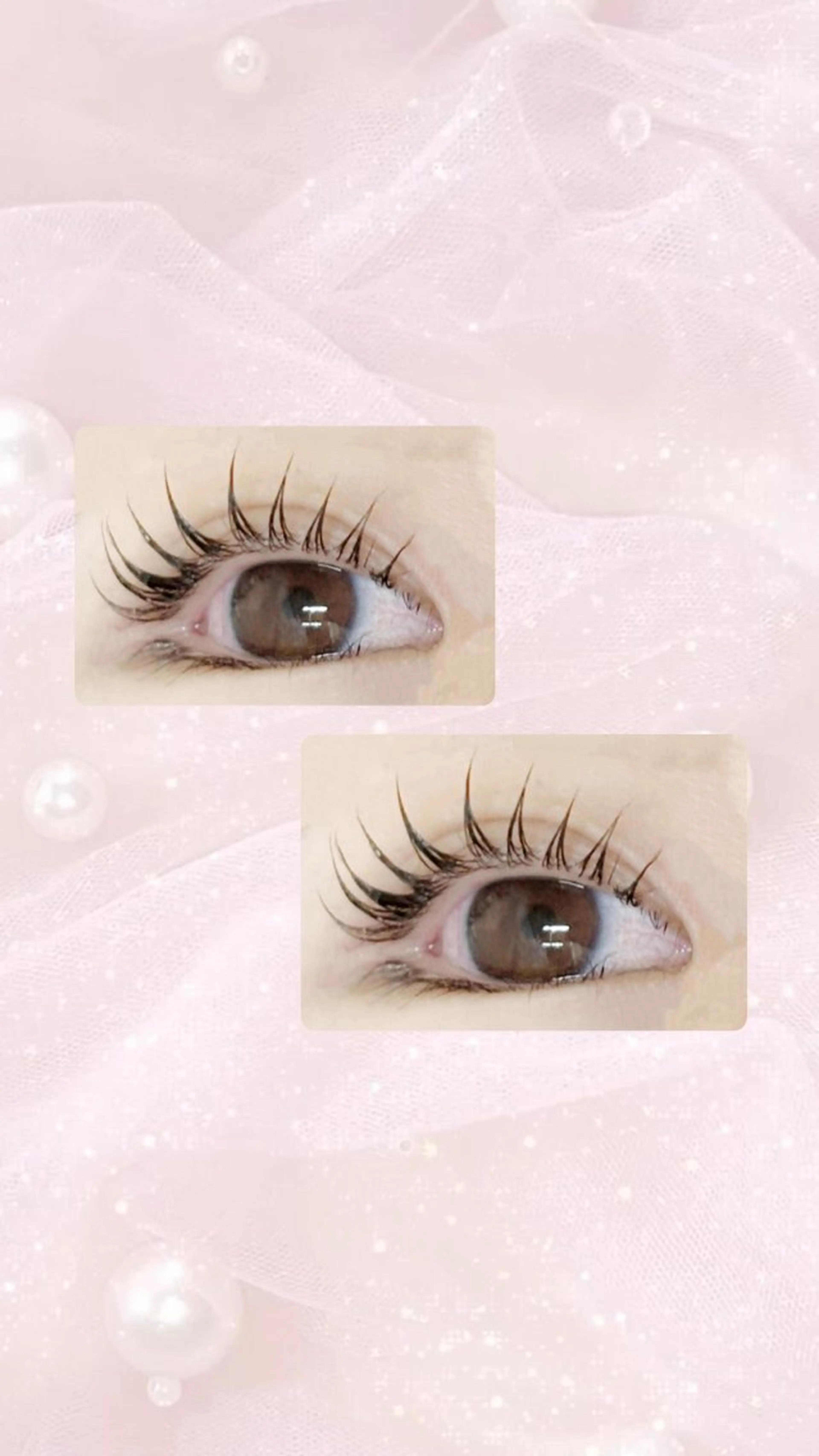 オープン記念価格🎀フラットラッシュ120本つけ放題(12/4限定)の写真