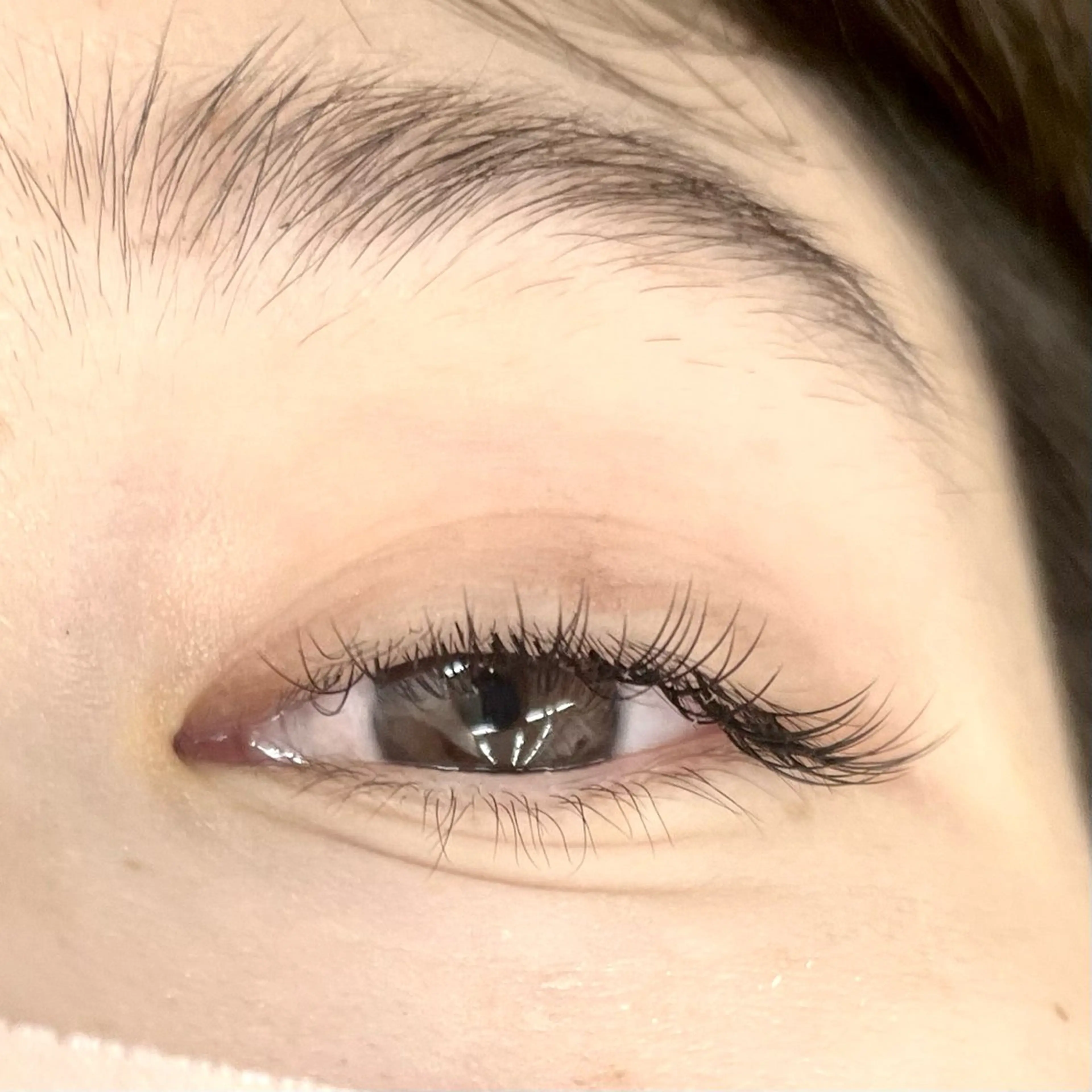 マツエク・マツパ Eyelash 大阪梅田 MAXKELLY【アイラッシュ ウメダ マックスケリー】所属・🦋maxkelly .mizuki🦋のマツエク・マツパデザイン